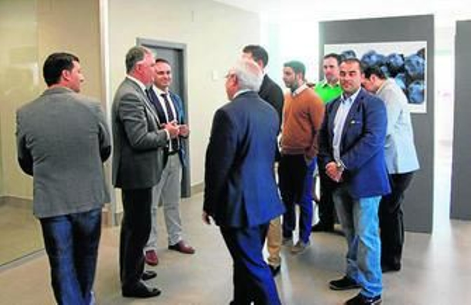 Vista aérea de la Sociedad Agraria de Transformación (SAT) Condado de Huelva.