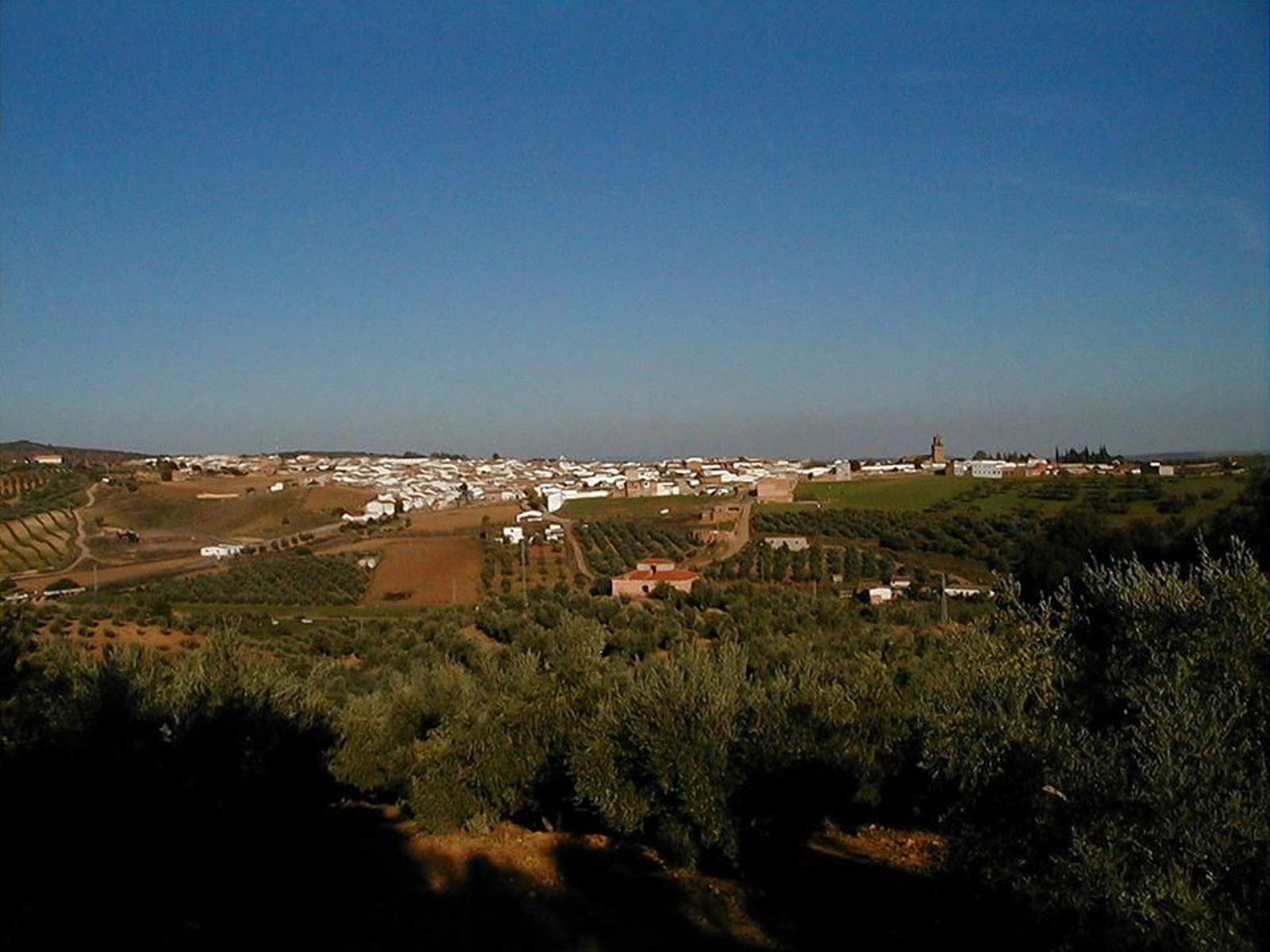 Vista panorámica de Adamuz.