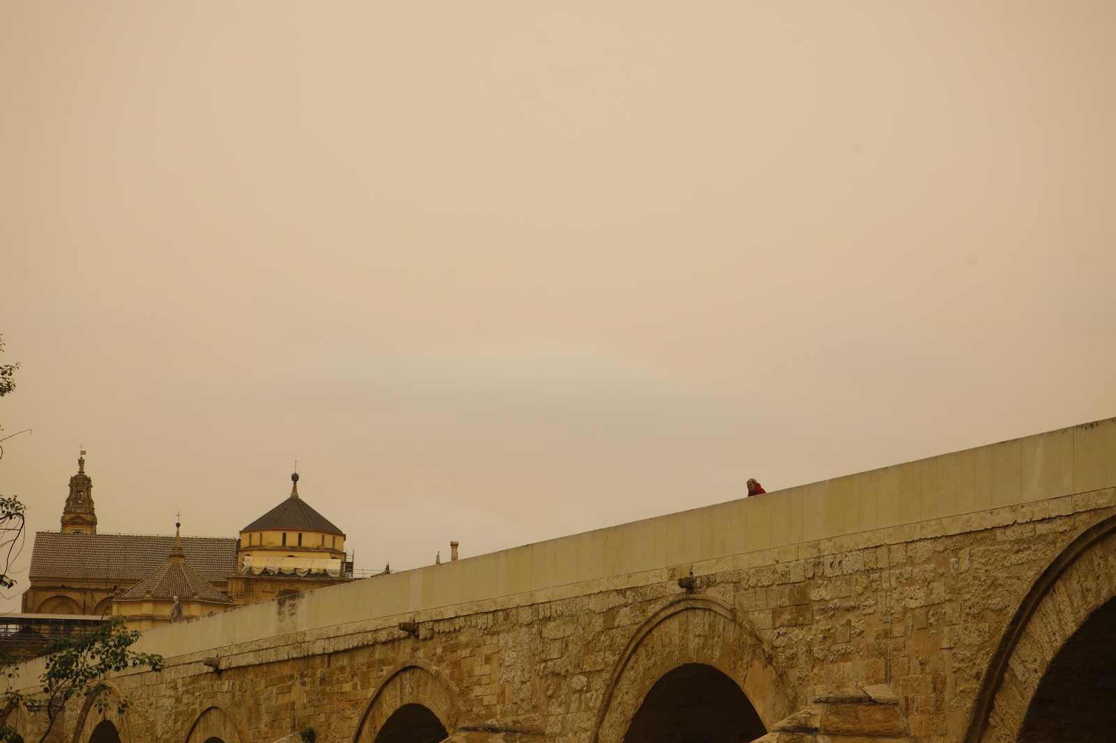 La calima llega a Córdoba, en imágenes