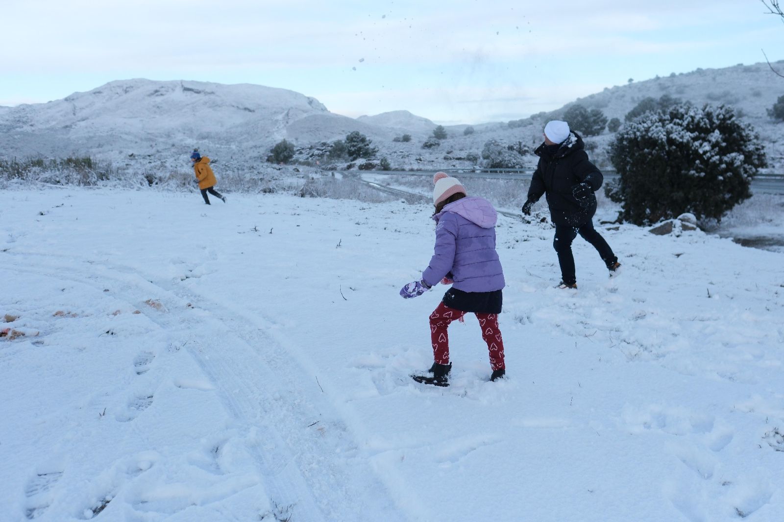 La nieve tiñe de blanco la Serranía de Ronda