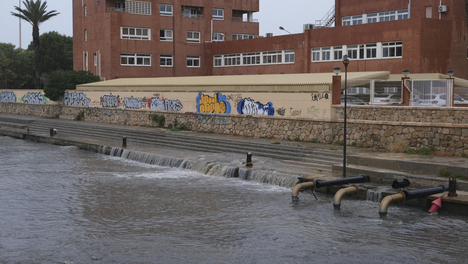 Los almerienses expresan su alegría por la lluvia