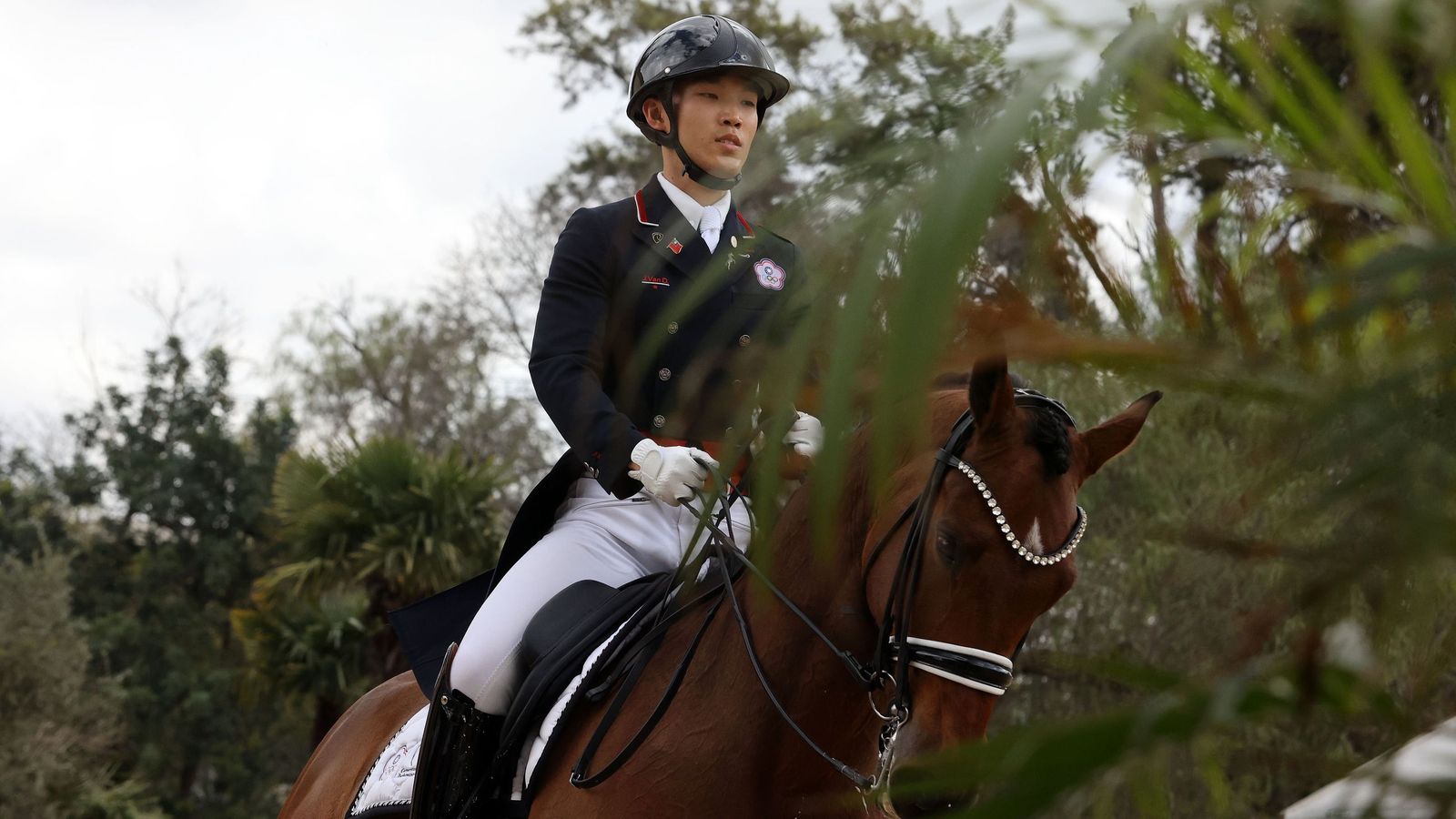 Concurso Internacional de Doma Clásica en La Real Escuela de Jerez