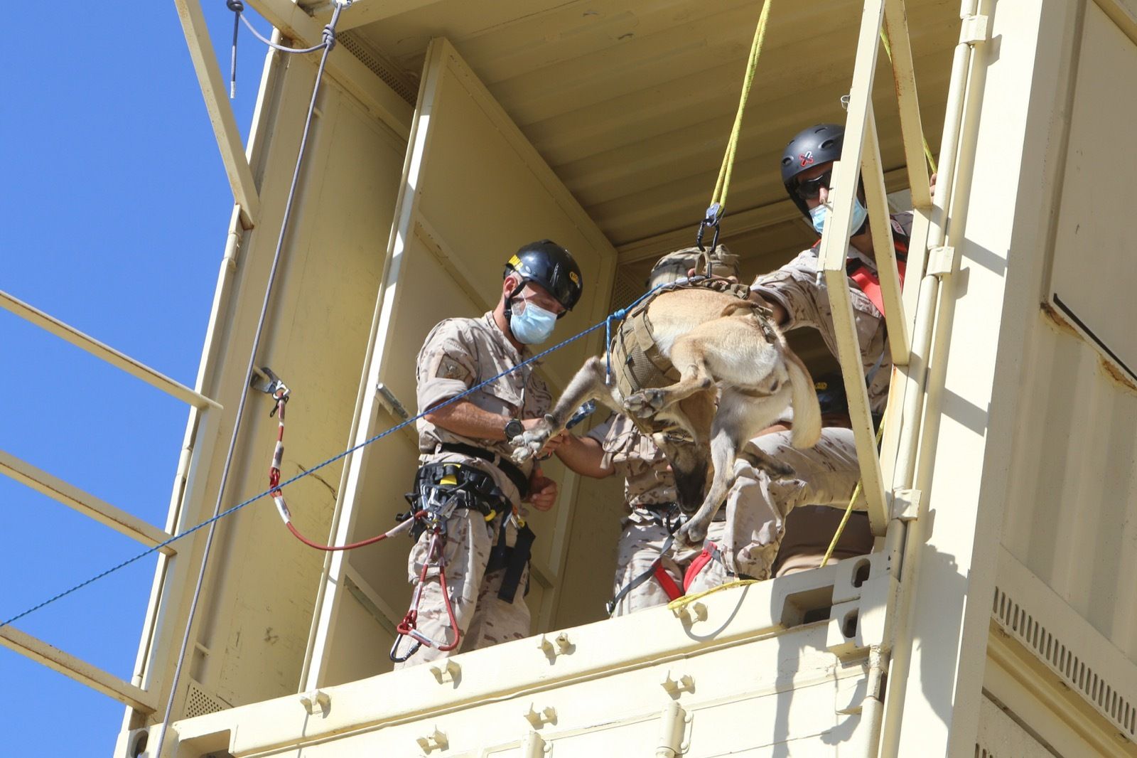 Ejercicio de Adiestramiento 2021 de Unidades Caninas en el TEAR.