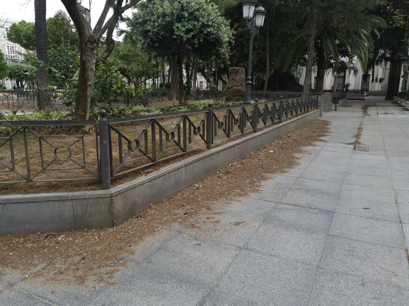 Franja de la plaza donde se deberán instalar las terrazas de bares y resturantes a partir de ahora.