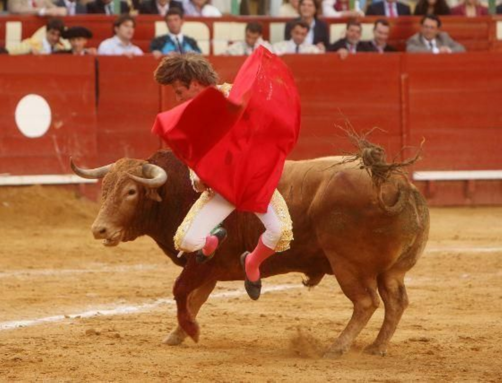 Por vez primera en sus diecisiete temporadas de matador de toros, se vio un salto de la rana de Manuel Díaz en la plaza de Jerez.  Foto: Juan Carlos Toro