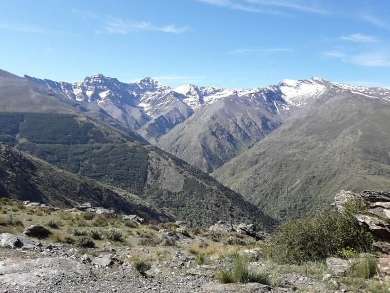 Vista de la Dehesa del Calvario y los Lavaderos de la Reina