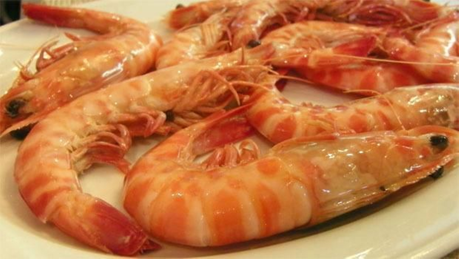 Los langostinos, uno de los tesoros de Sanlúcar