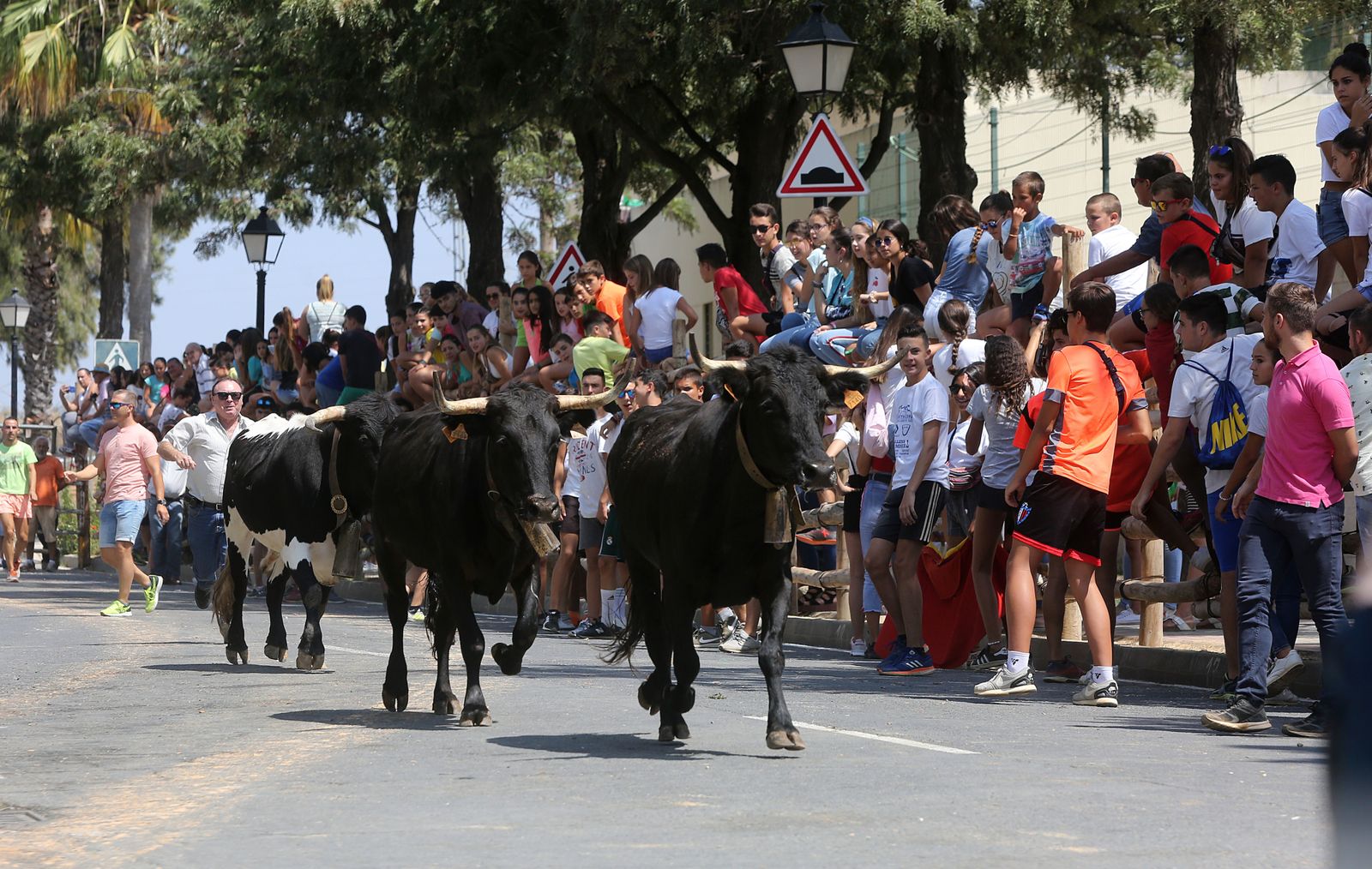 Capeas de Trigueros en imágenes