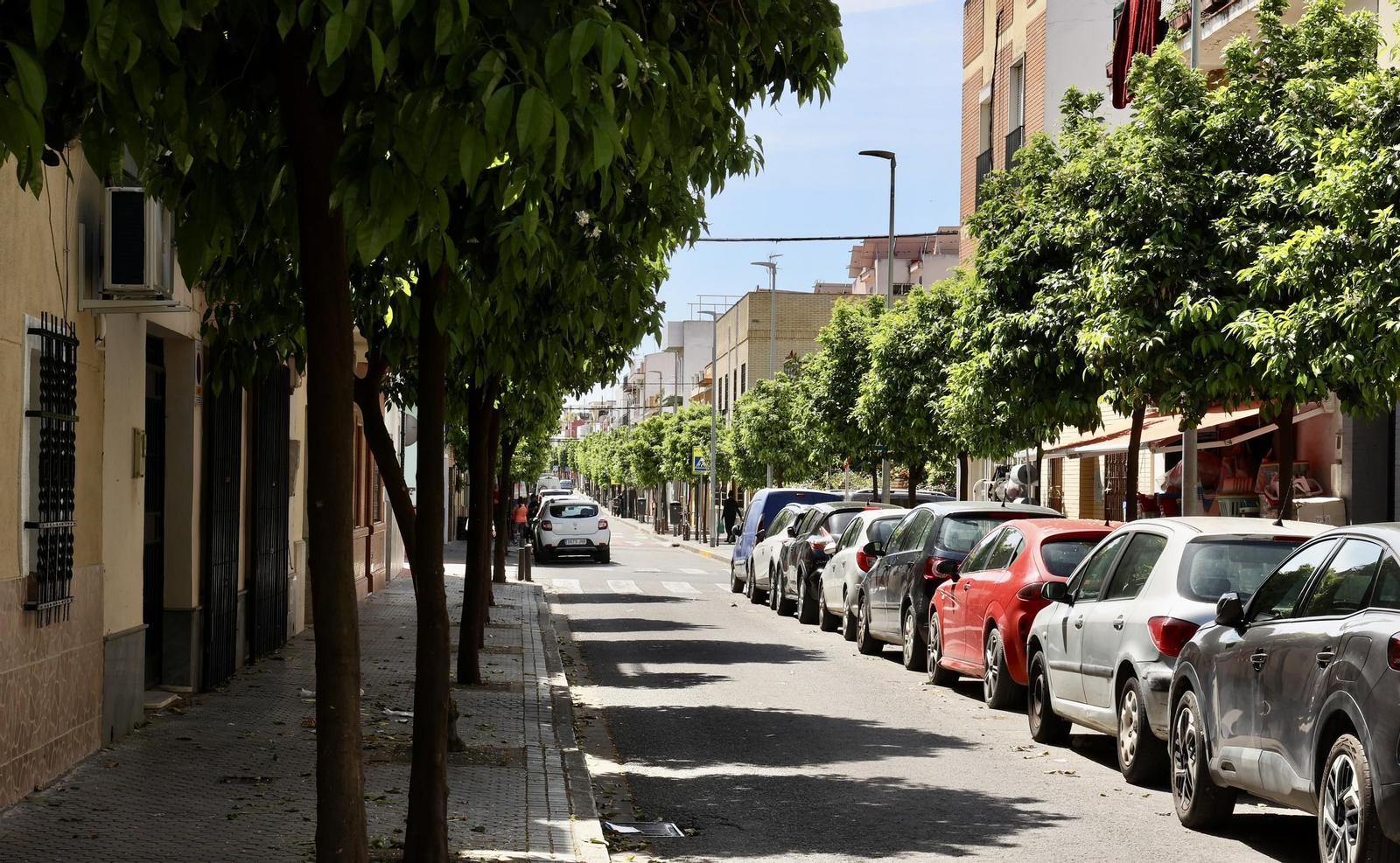 Barrio de Bellavista en su centenario