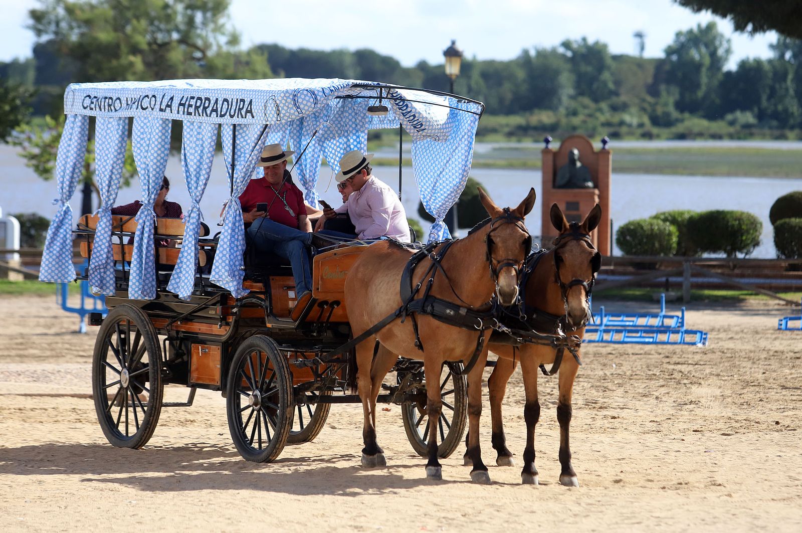 Ambiente en la aldea del Rocío previo a la llegada de las Hermandades, en imágenes