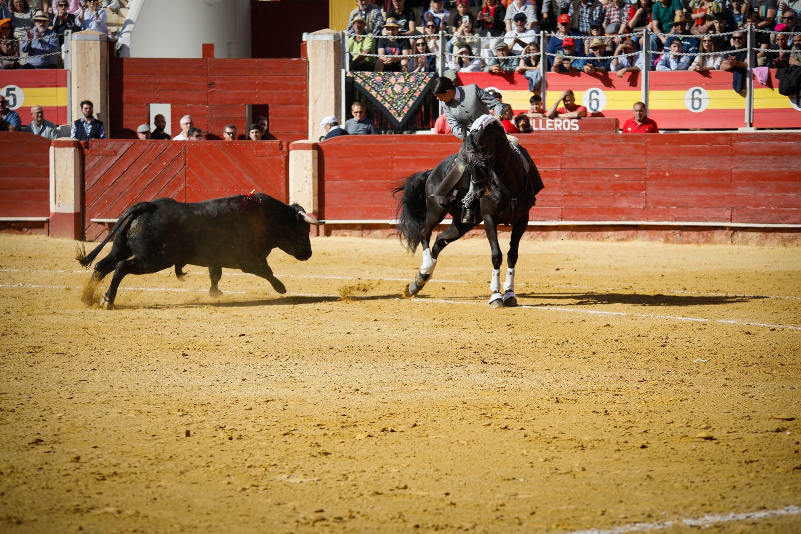 Imágenes del festival mixto lucha contra el cáncer