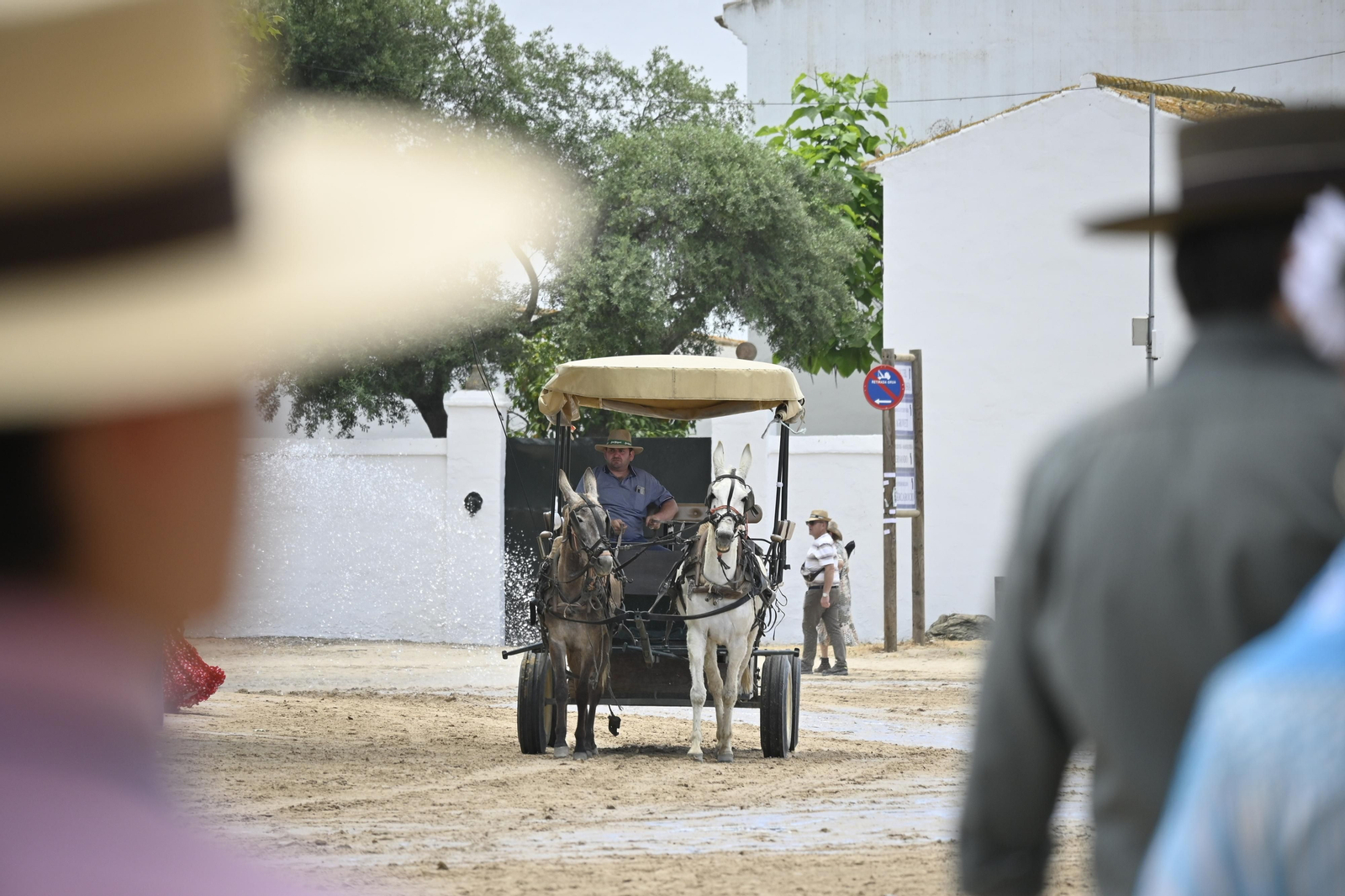 Imágenes del viernes 17 de mayo en EL Rocío