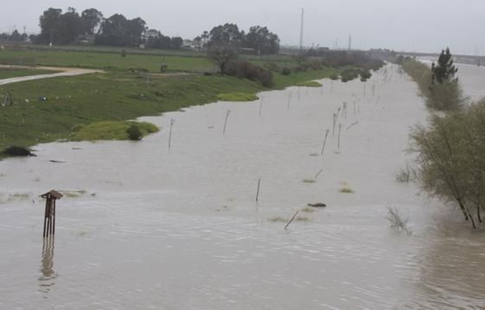 Foto: Victoria Hidalgo/Juan Carlos Muñoz