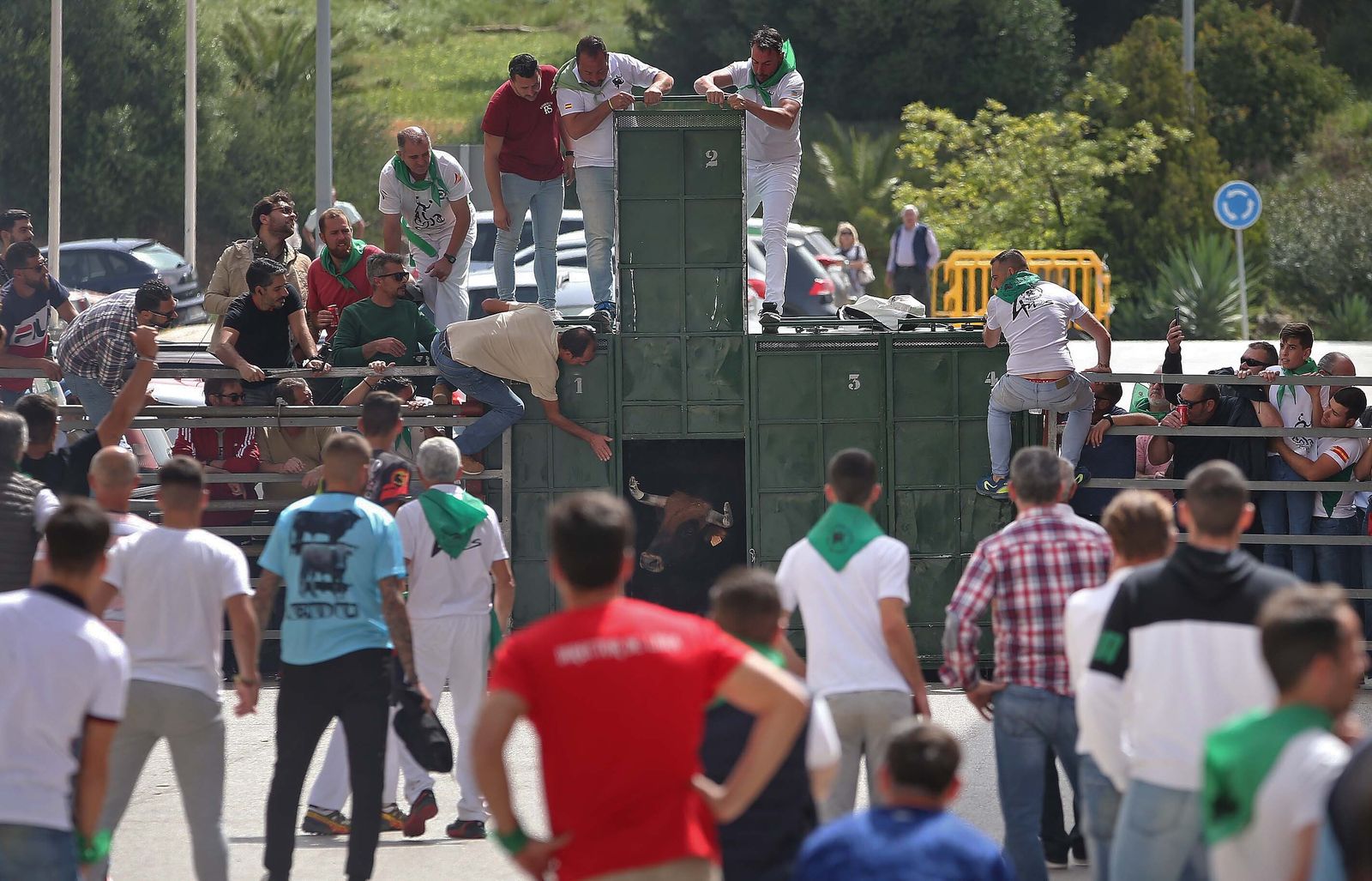 Fotos del Toro Embolao en Los Barrios