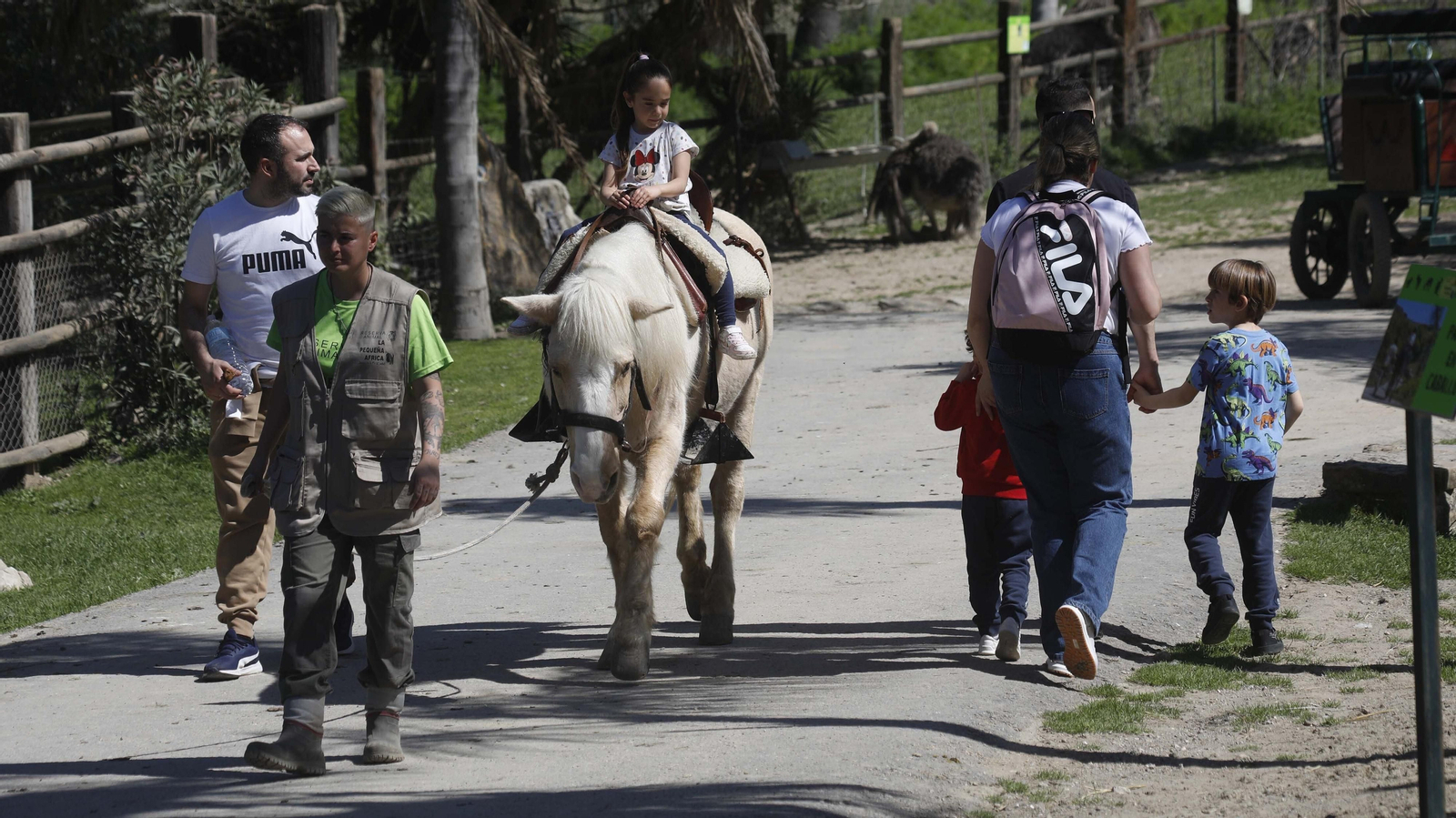 Las fotos del tigre de bengala, en la reserva "La pequeña África"