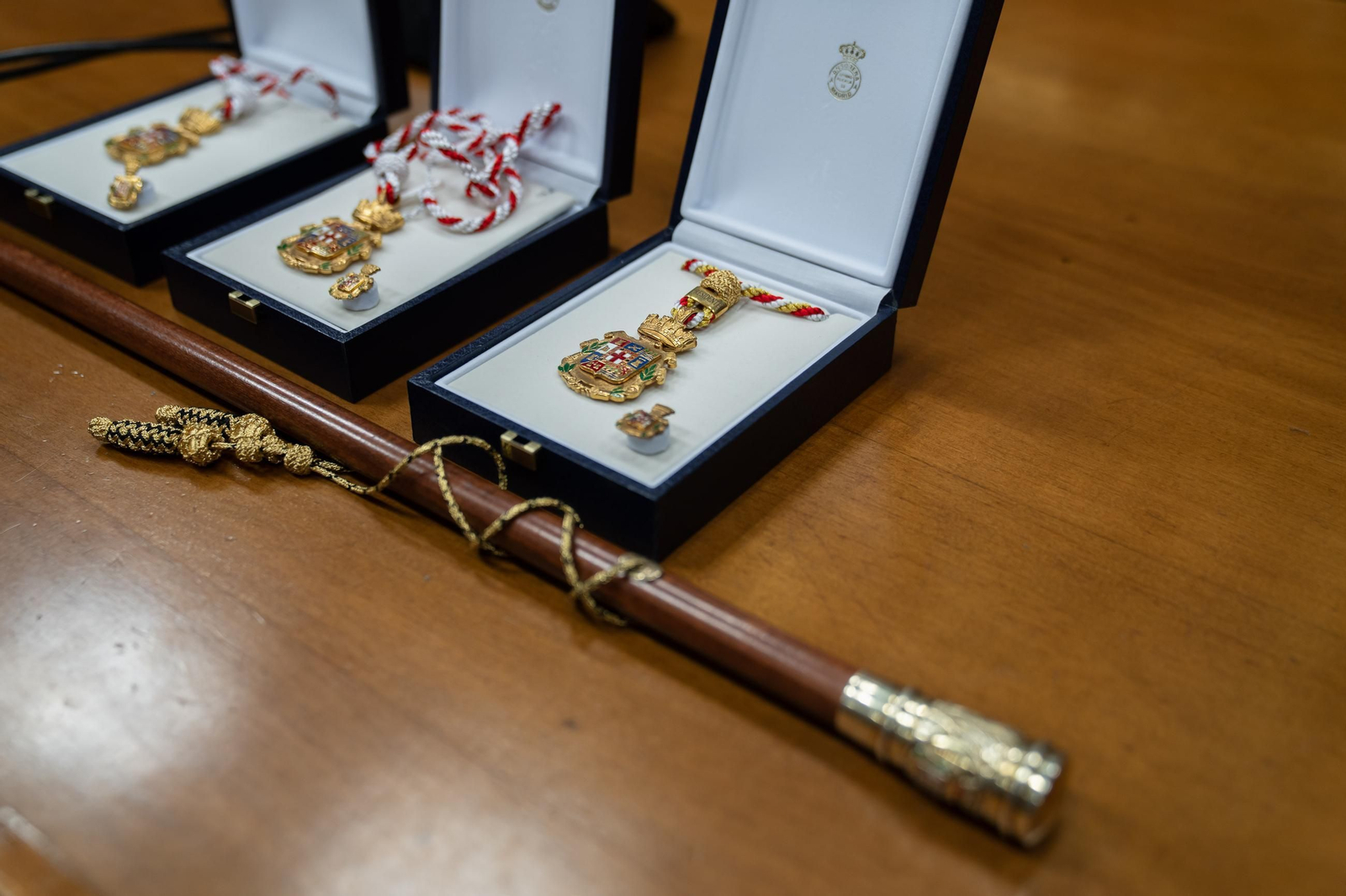 Así se ha vivido la investidura del nuevo presidente de la Diputación Provincial de Almería