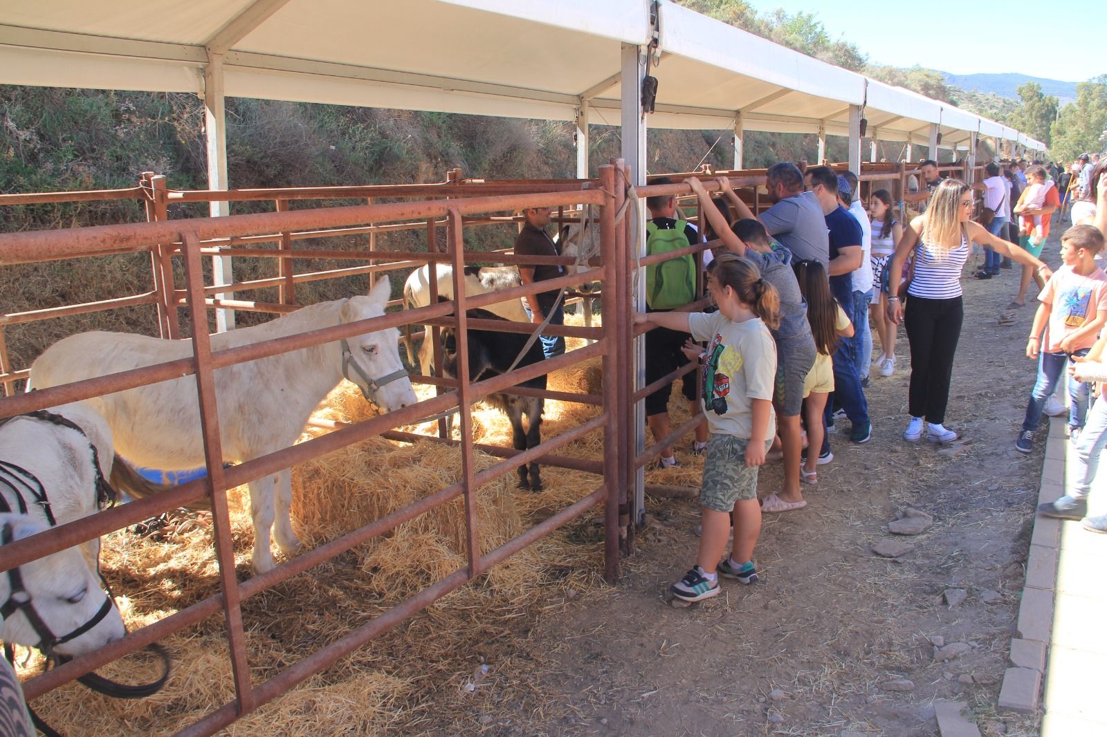 Momento de la I Feria Equina de Abla