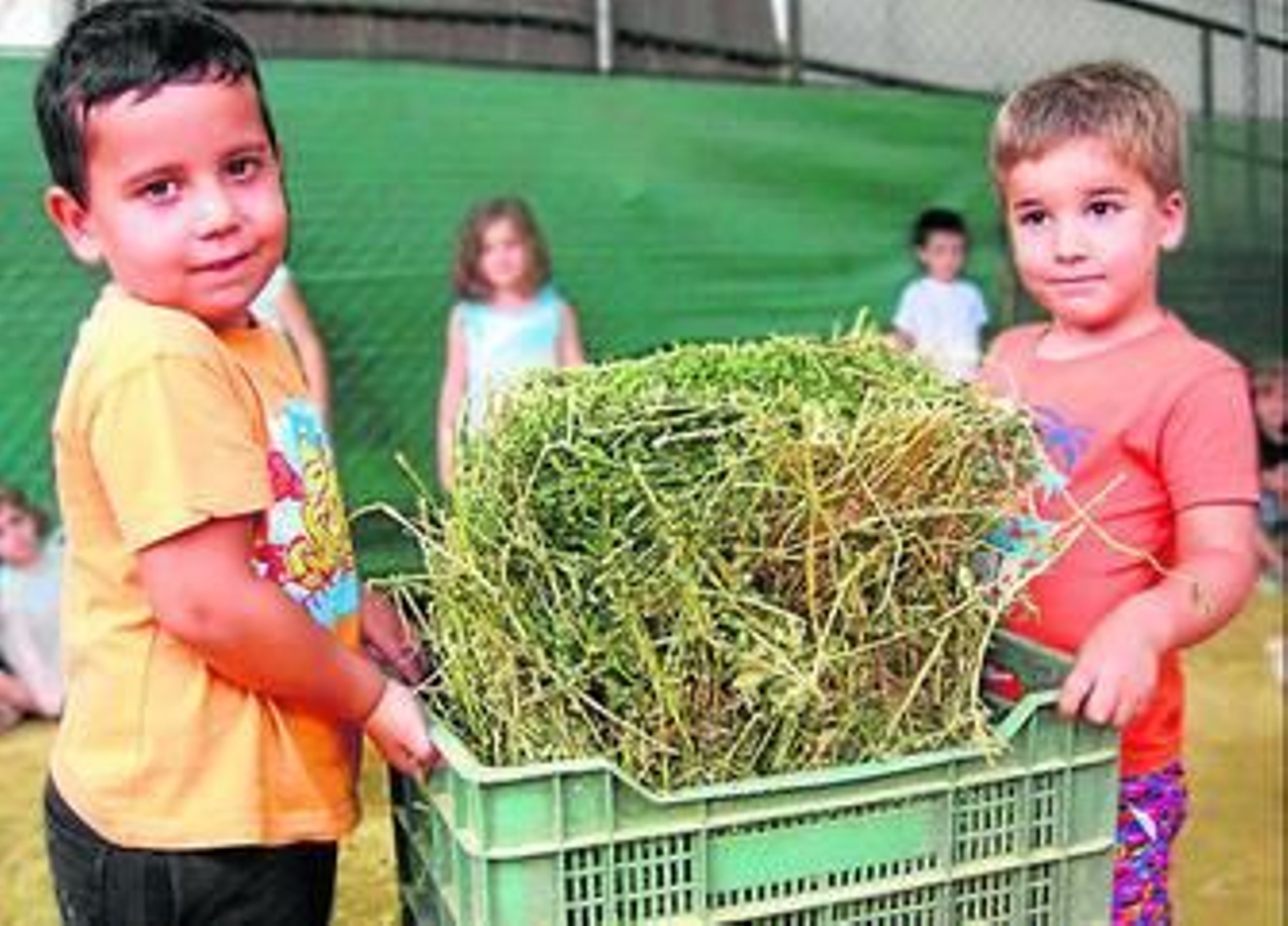 1. Dos niños trabajan en equipo en una de las actividades de la granja. 2. La hora de la comida para el burro Rafael, que vive en La Buhardilla. 3. Sesión de cuentacuentos antes de la hora del desayuno. 4. El de la piscina es uno de los momentos más esperados en el campus. 5. Uno de los monitores coordina un juego en grupo. 6. Los niños se acercan también a la música durante su estancia.