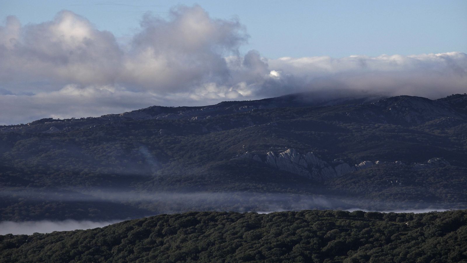 Sendero de la finca Murta en Los Barrios