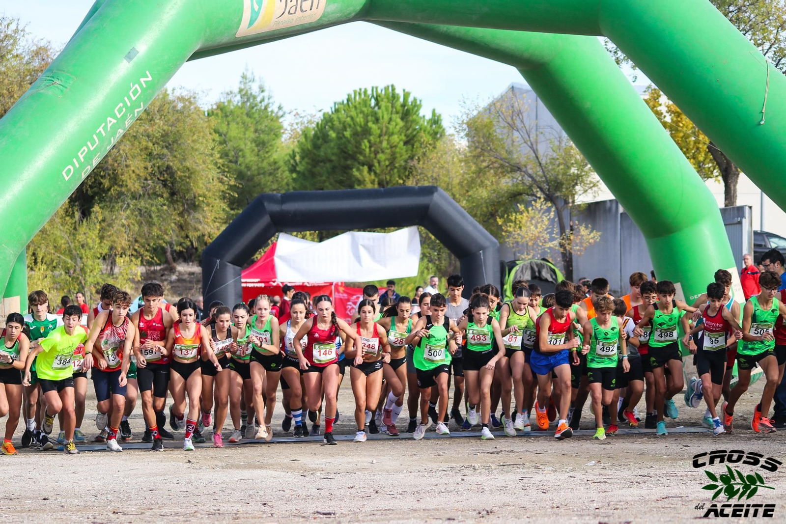 La emoción de la 39 edición de la Cross del Aceite de Torredonjimeno, en imágenes