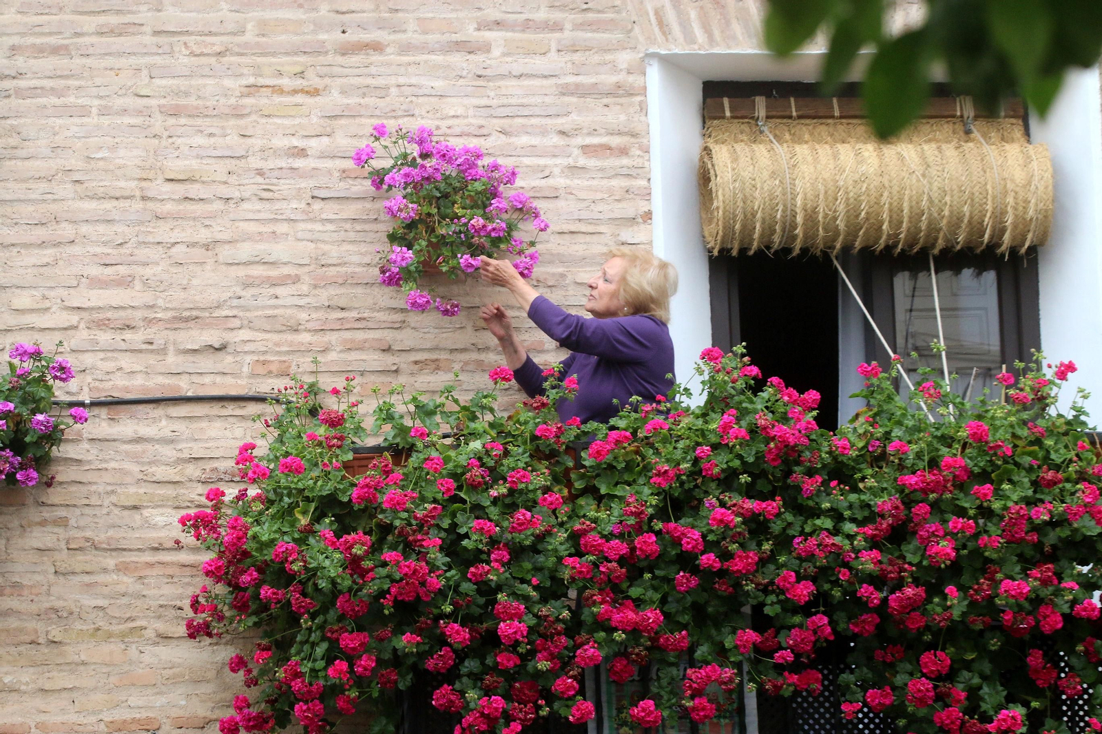 Balcón de Hermanos López Diéguez, 11.