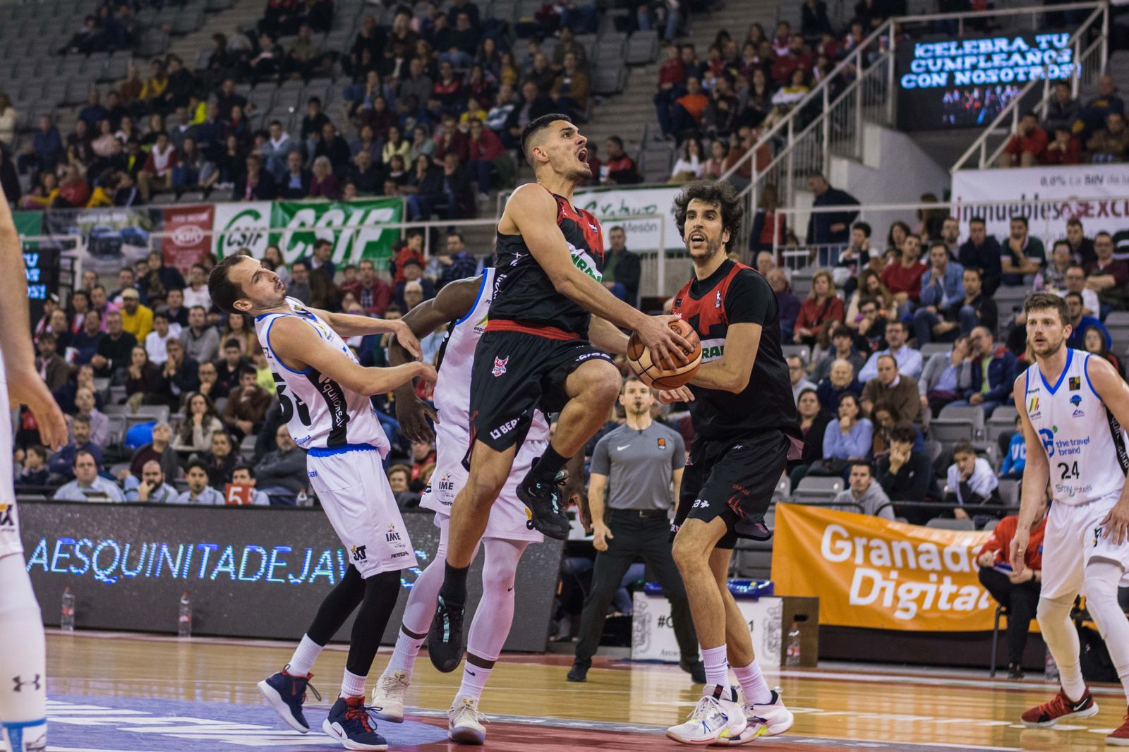 Carlos Corts, en el partido ante el Palma, el último que el Covirán jugó con público en las gradas
