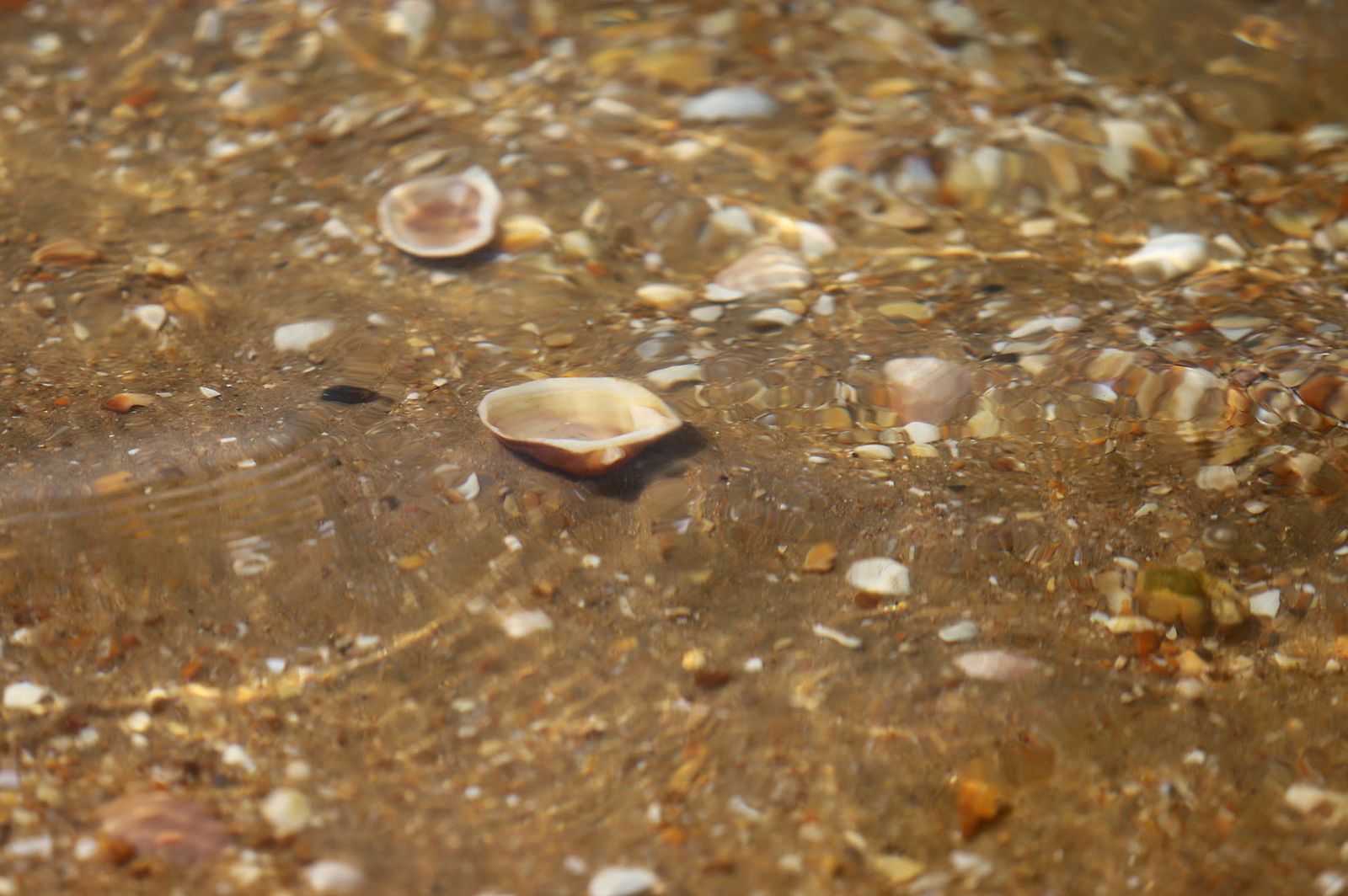 Las imágenes más destacadas del sábado 20 de mayo en Huelva