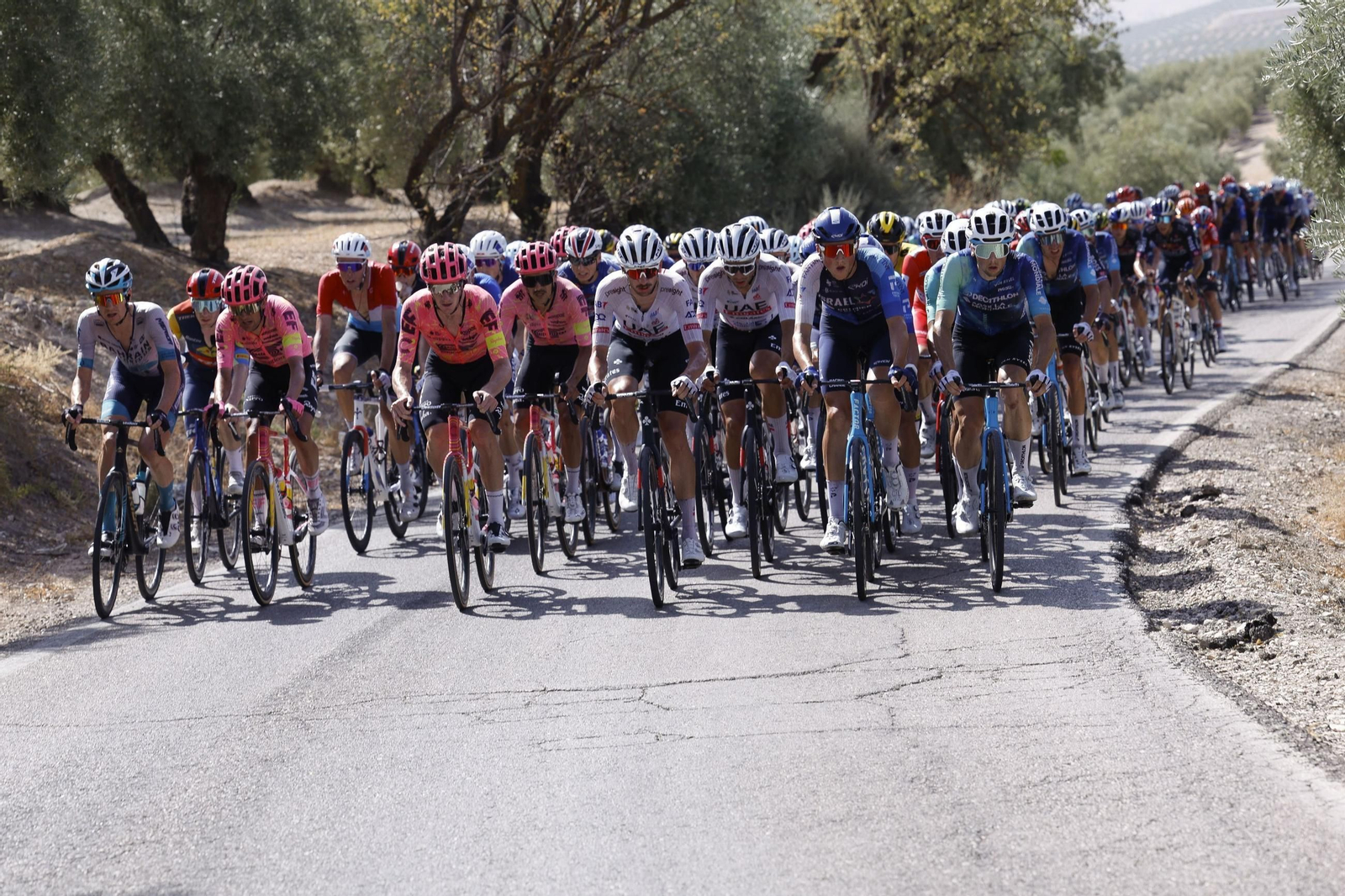 Las mejores fotos de la Vuelta a España | Etapa 8