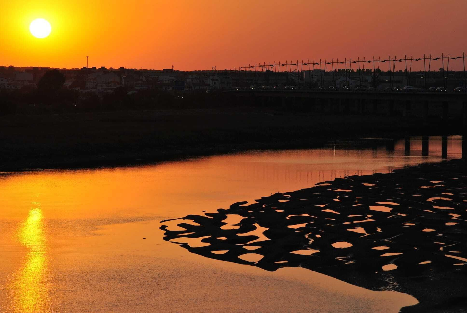 Marismas del Odiel, en Corrales (Aljaraque)