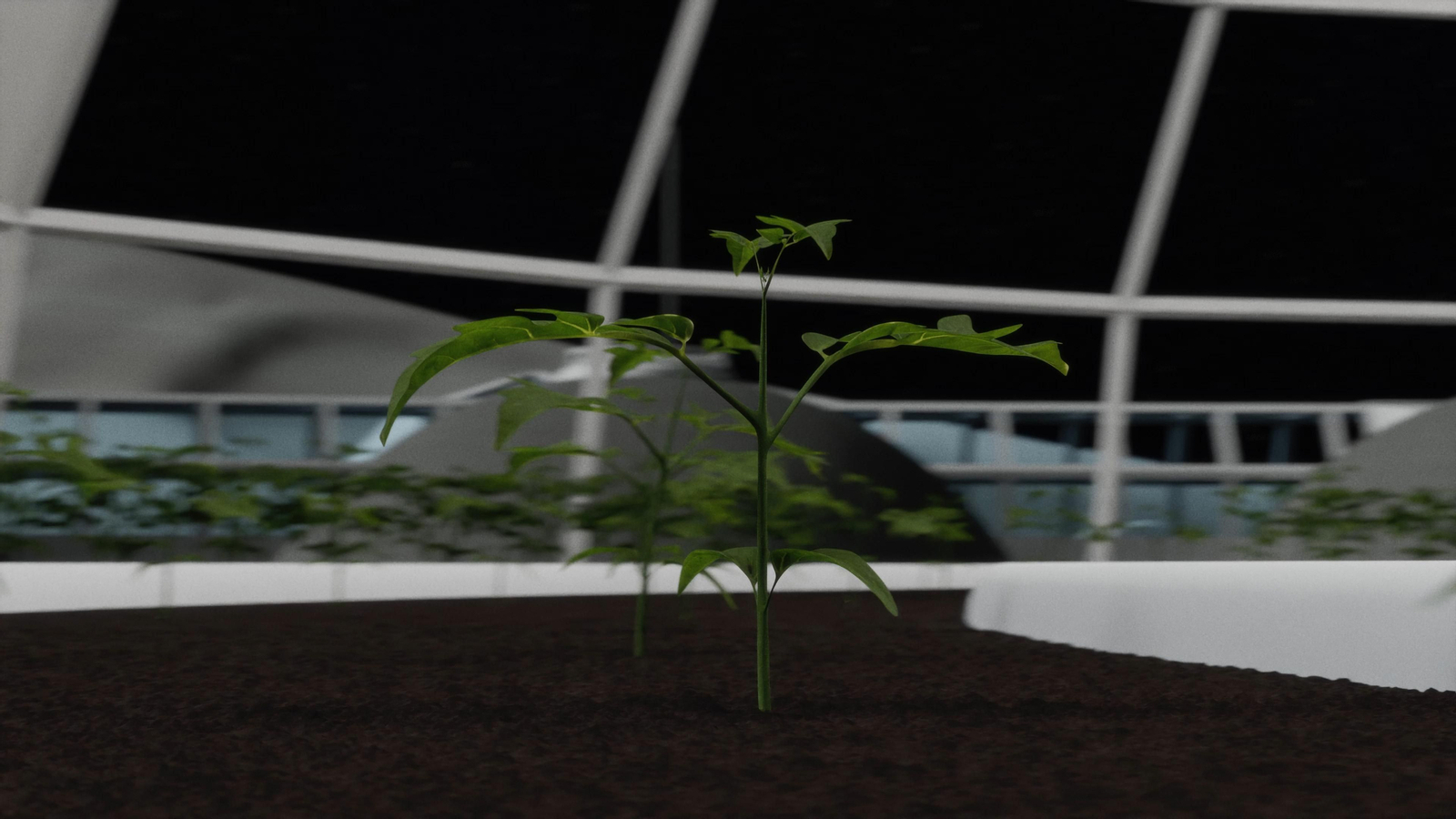 Green Moon Project: invernaderos en el espacio