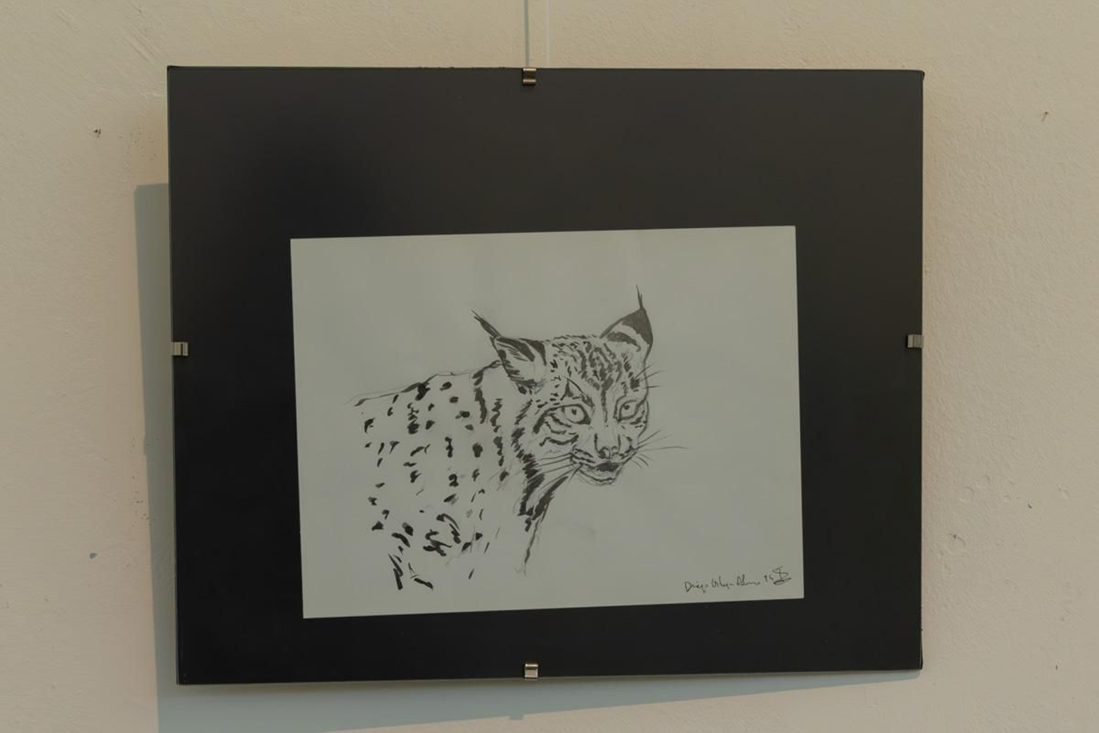 Exposición Los pinceles del lince ibérico, en imágenes