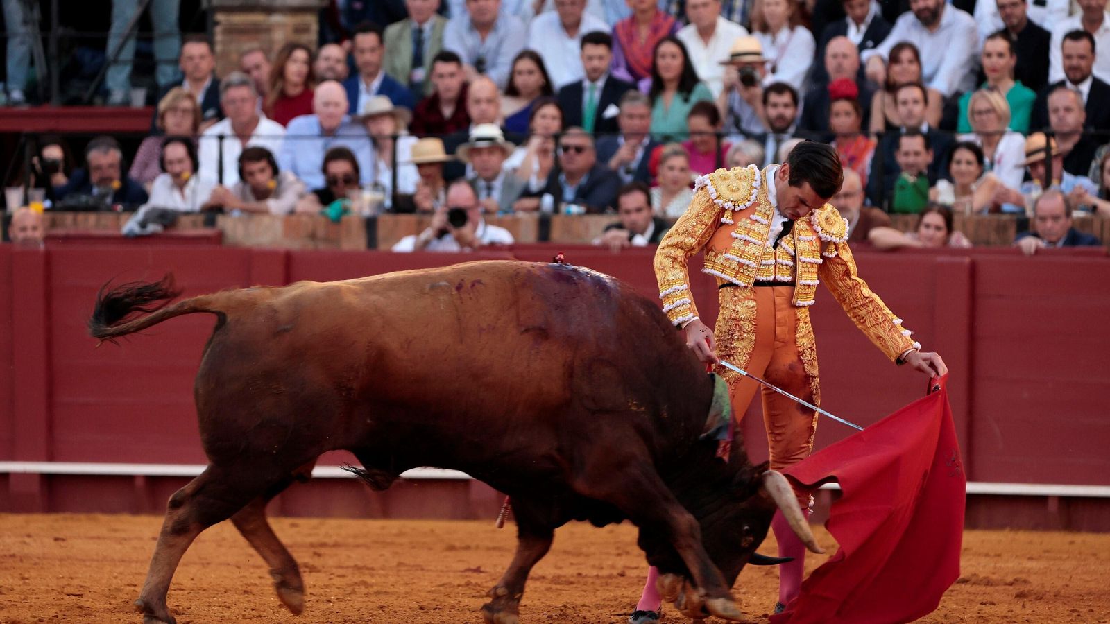 Las yemas de los dedos de Juan Ortega dibujan un relajadísimo natural en la que fue la mejor faena de la Feria. Las yemas de los dedos de Juan Ortega dibujan un relajadísimo natural en la que fue la mejor faena de la Feria.