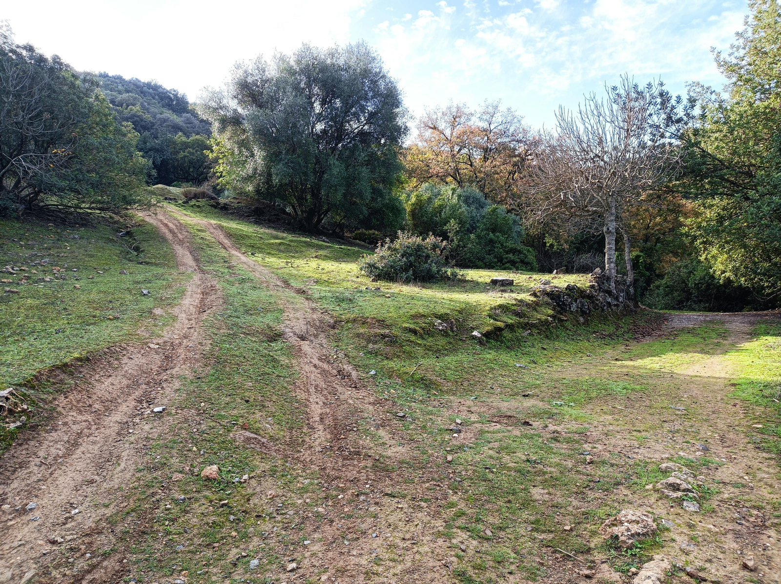 Fotos de la ruta circular de San Pedro, en Coripe