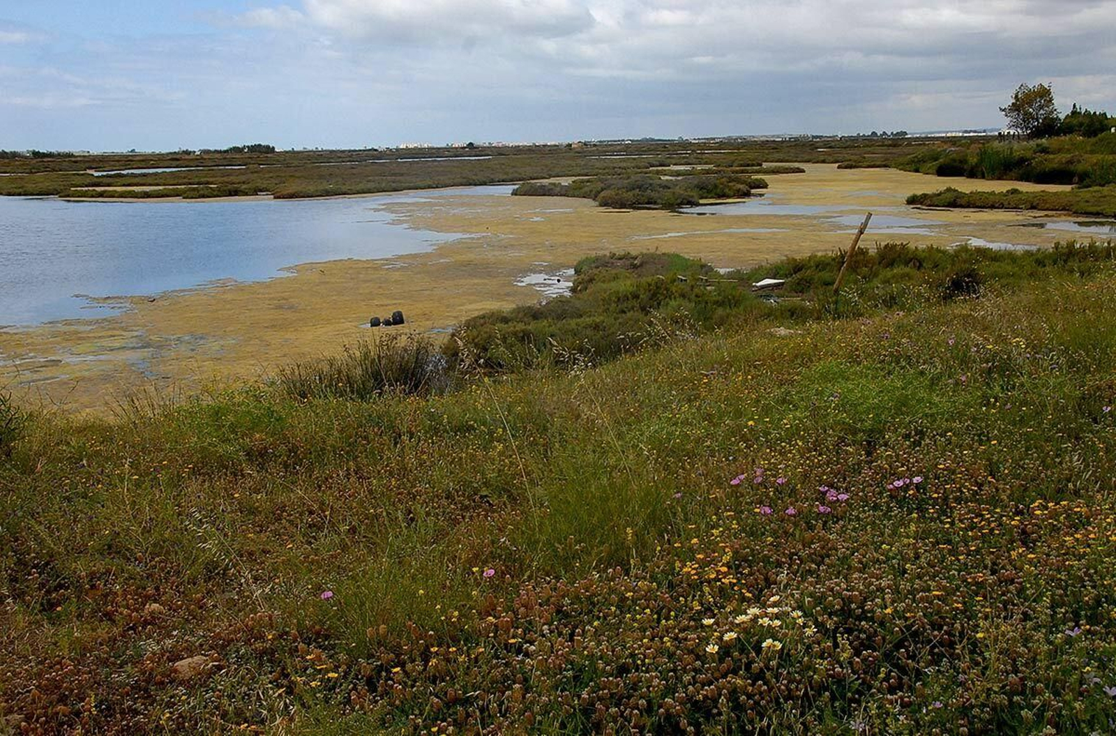 Paraje Natural de las Marismas de Isla Cristina.