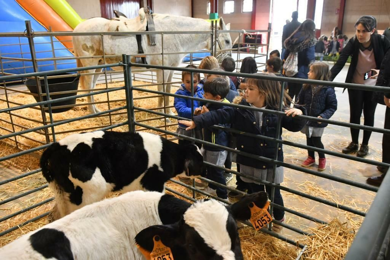 Unos escolares visitan la Feria Agroganadera de Pozoblanco.