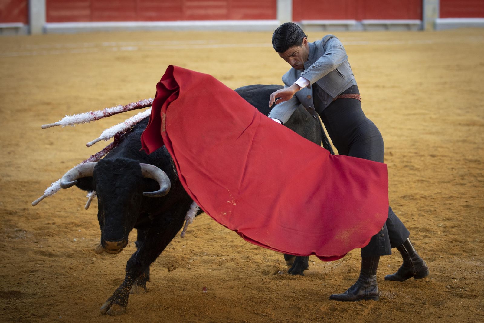Las mejores imágenes del Festival Taurino en beneficio de Granadadown
