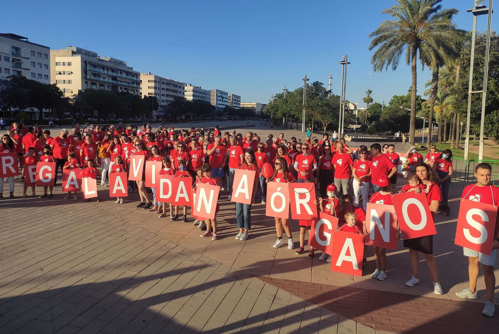 La Marcha por la Donación de Órganos de Córdoba, en imágenes