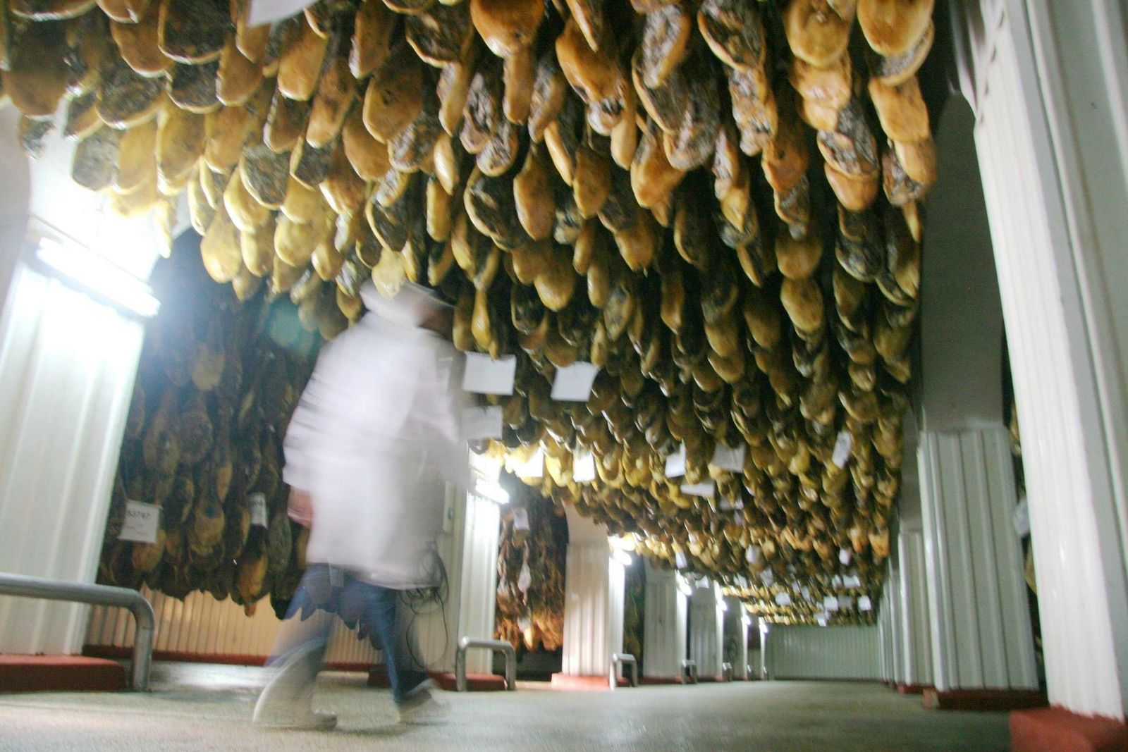 Un secadero de jamones.