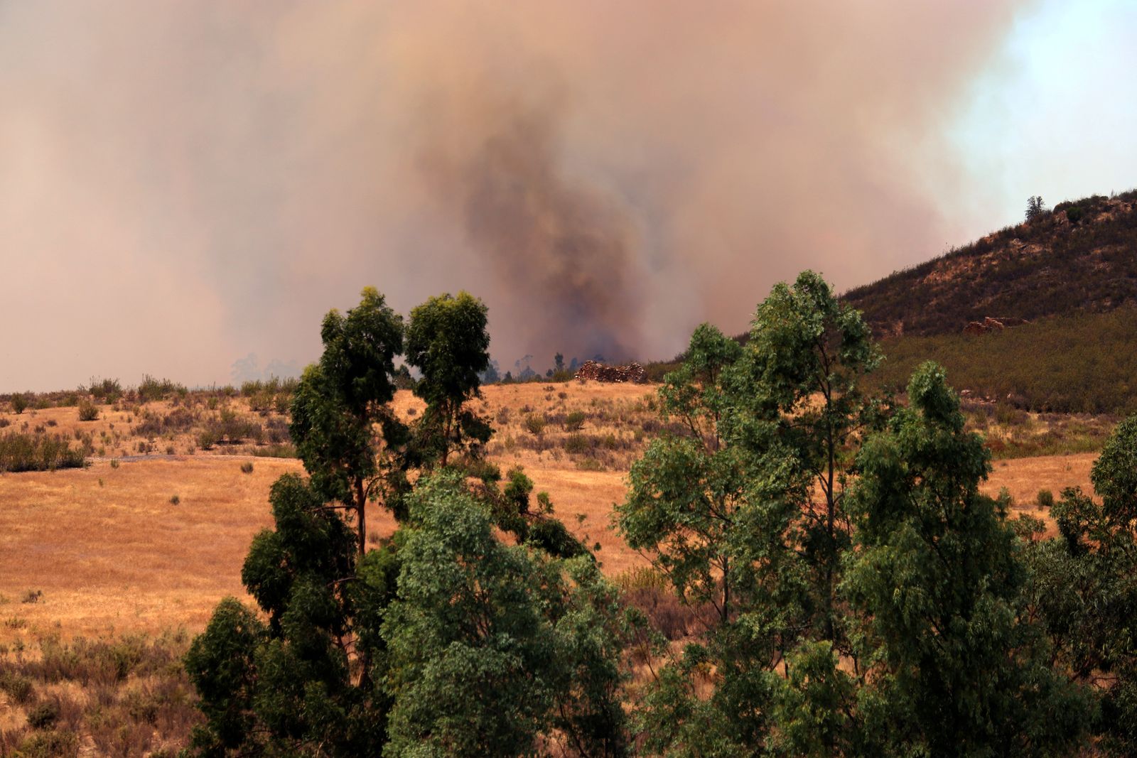 Imágenes de la devastación que deja a su paso el incendio de Almonaster la real.