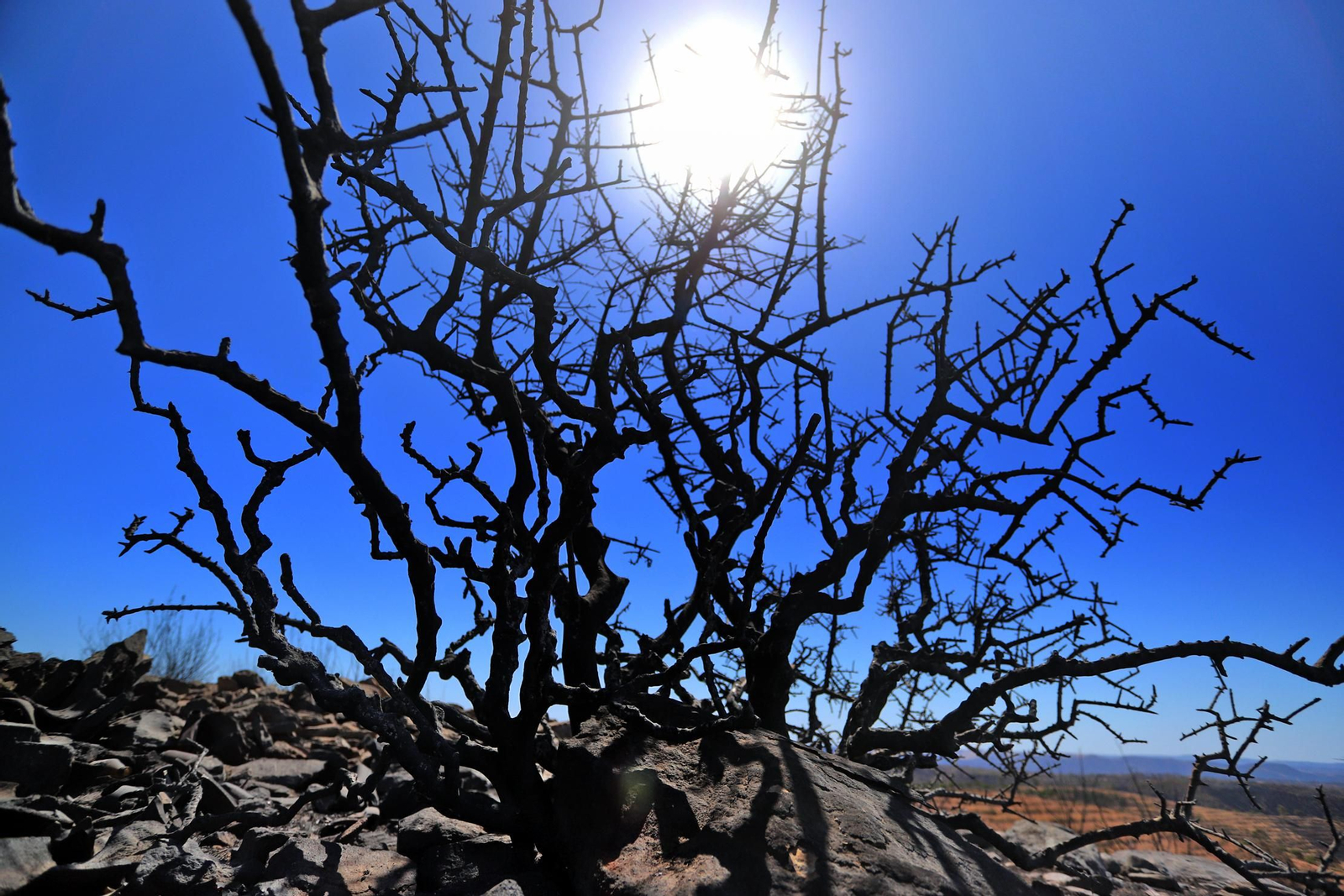 Imágenes de las zonas devastadas por el incendio de Almonaster la Real