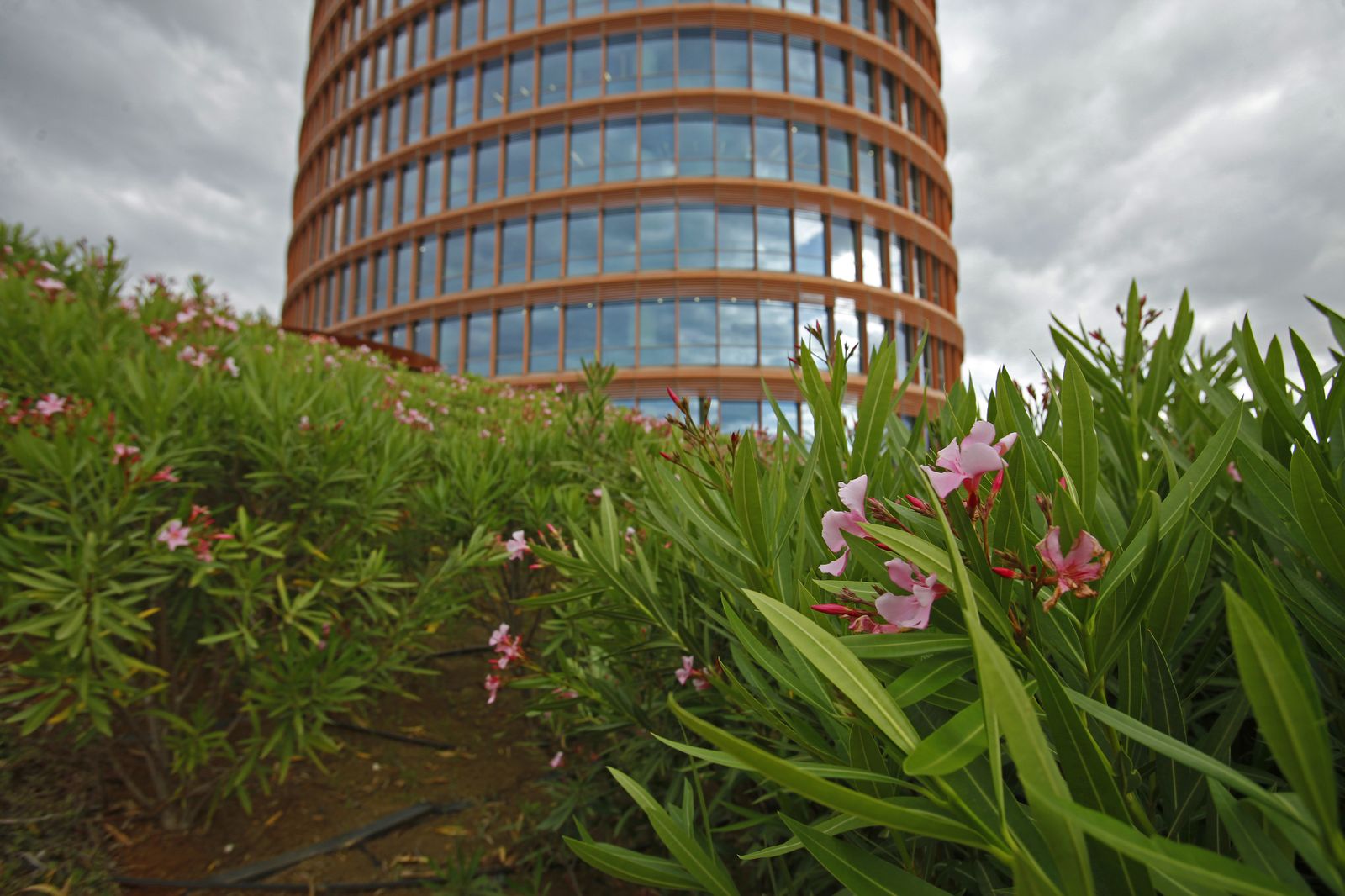 Las cubiertas vegetales del Centro Comercial Torre Sevilla