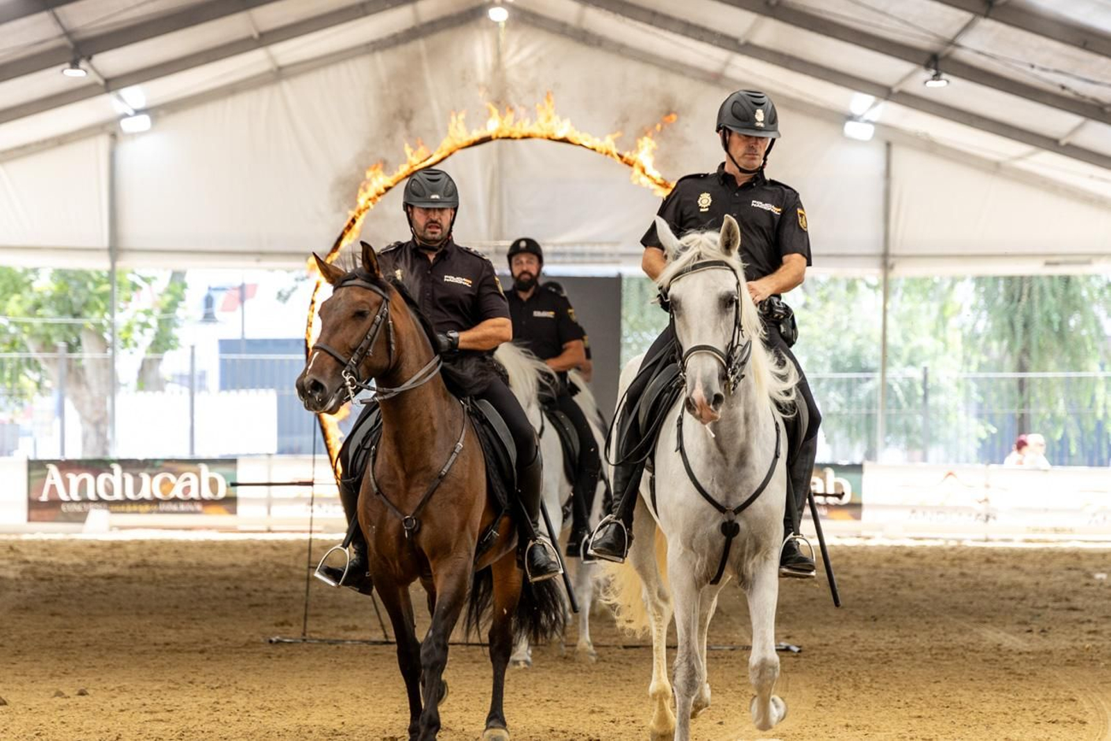 Anducab rinde homenaje a la unidad de caballería de la Policía Nacional