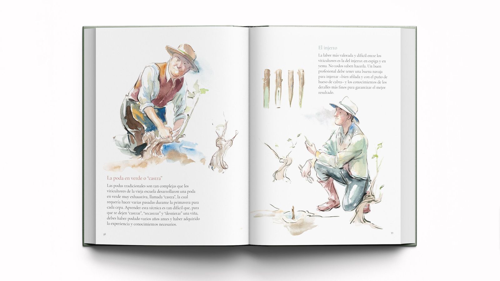 Las ilustraciones en acuarela son obra de Ismael Pinteño.