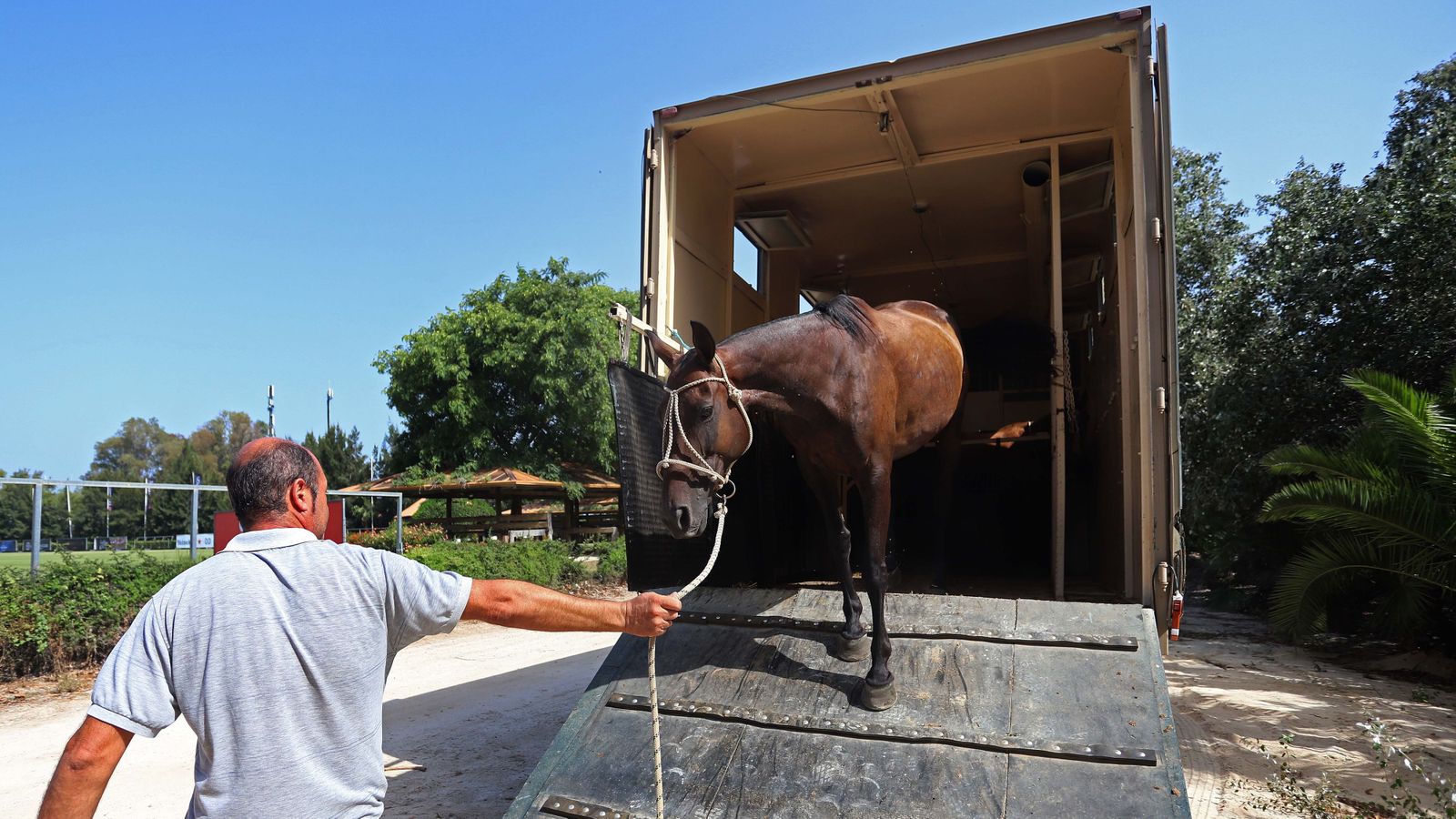 El polo desde dentro
