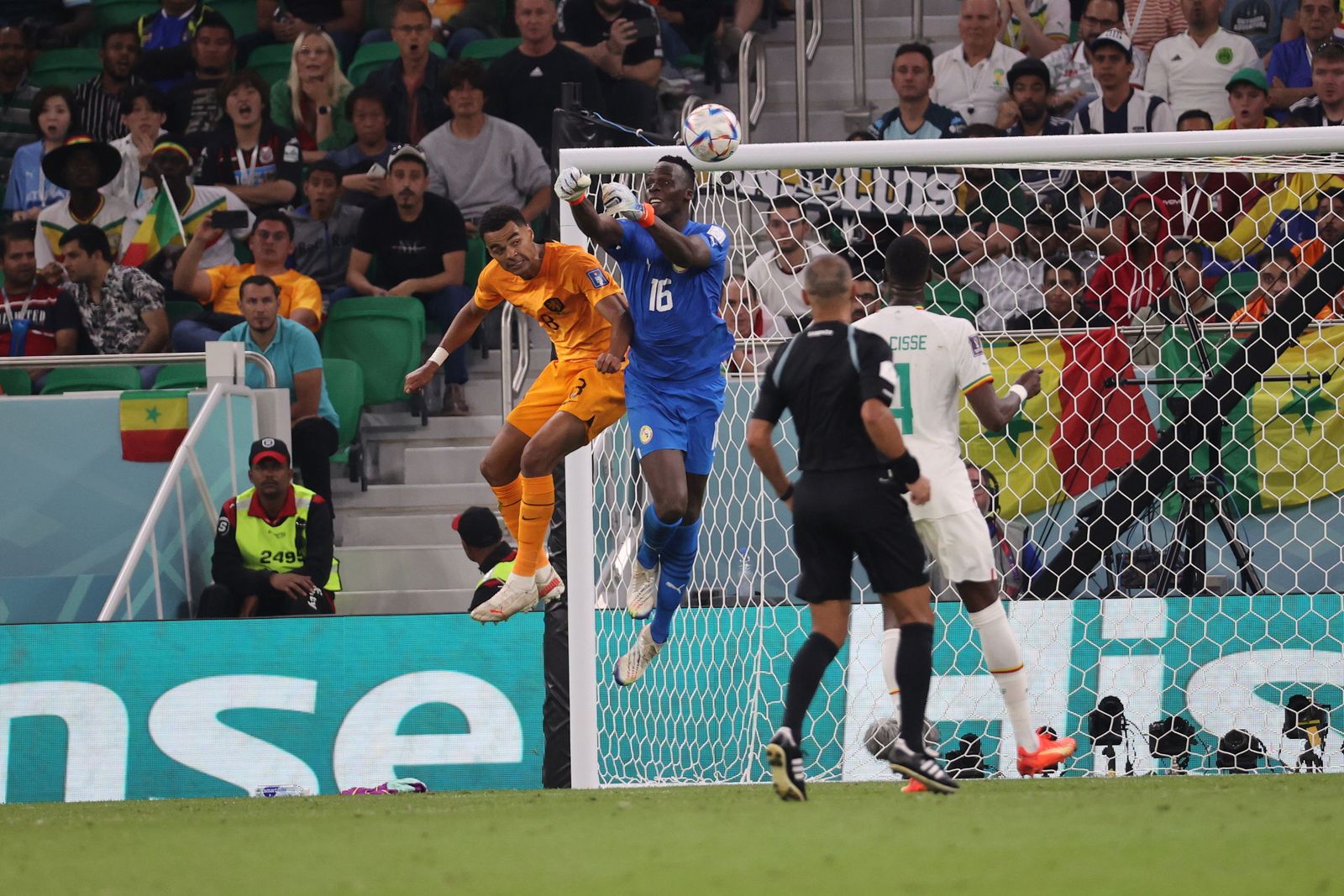 Las imágenes del Senegal - Países Bajos