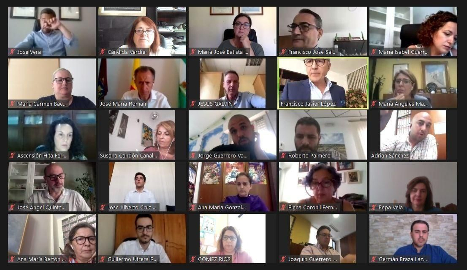 La sesión plenaria ha vuelto a celebrarse por vía telemática.