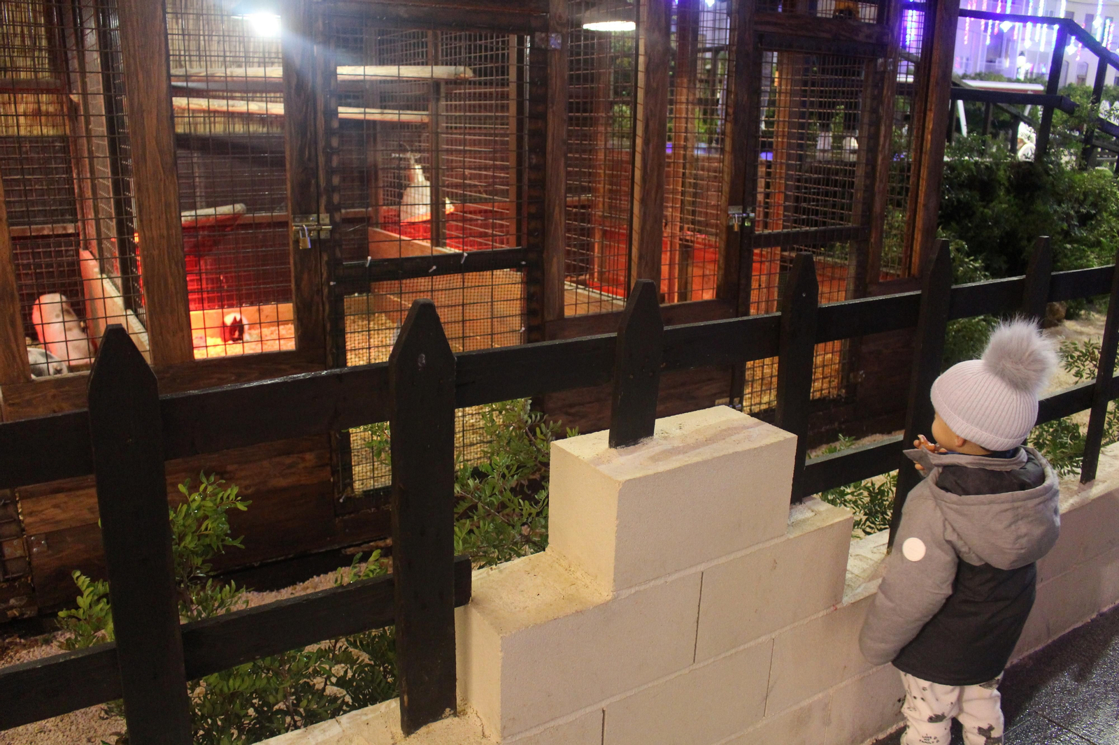 El alumbrado de Navidad de Lucena, en fotografías