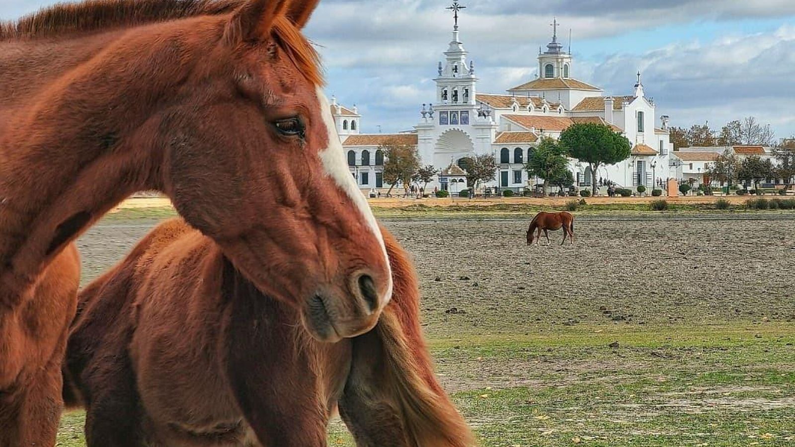 El Rocío, el lugar que te atrapa entre pinares y marismas