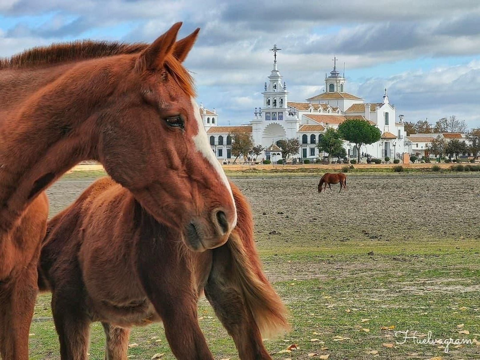 El Rocío, el lugar que te atrapa entre pinares y marismas