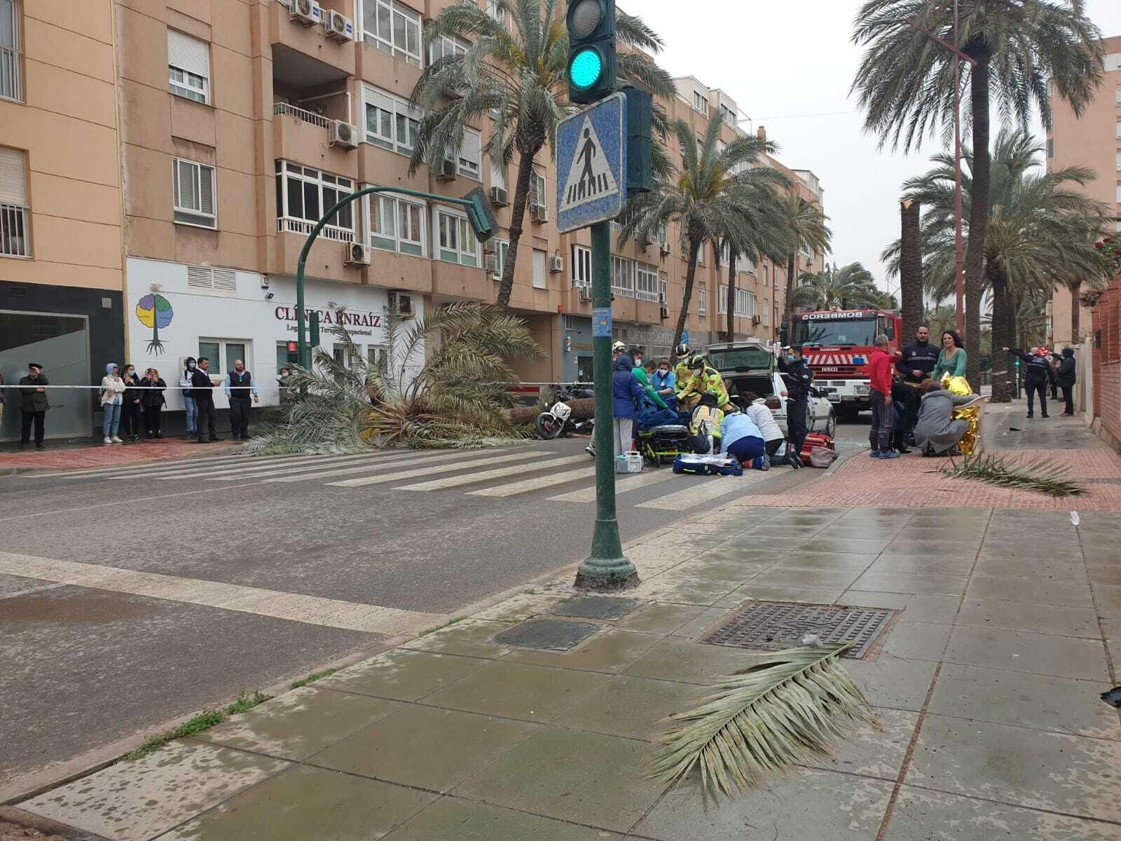 Una palmera causa un brutal accidente en Almería